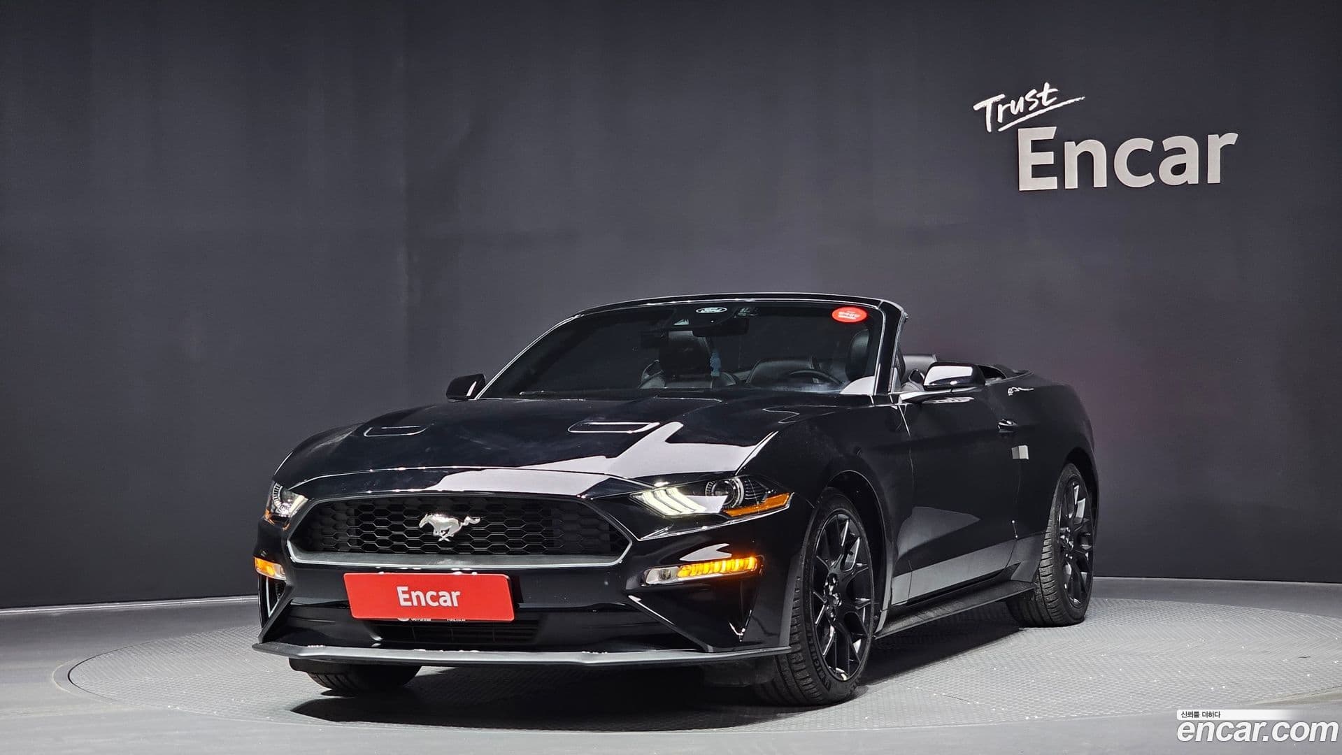Main__Slider__Photo:Mustang Ford 2023.8-0