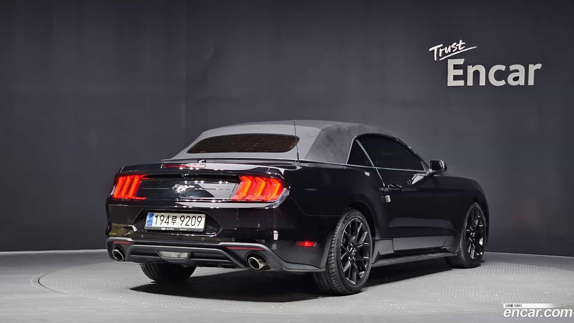 Mustang Ford 2023.8-OUTER-002