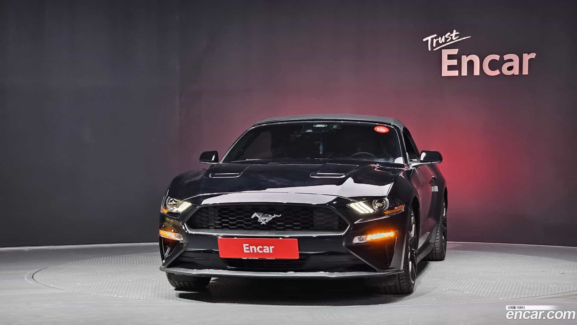 Mustang Ford 2023.8-OUTER-003