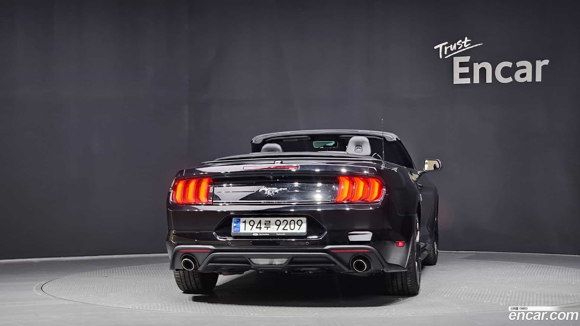 Mustang Ford 2023.8-OUTER-004
