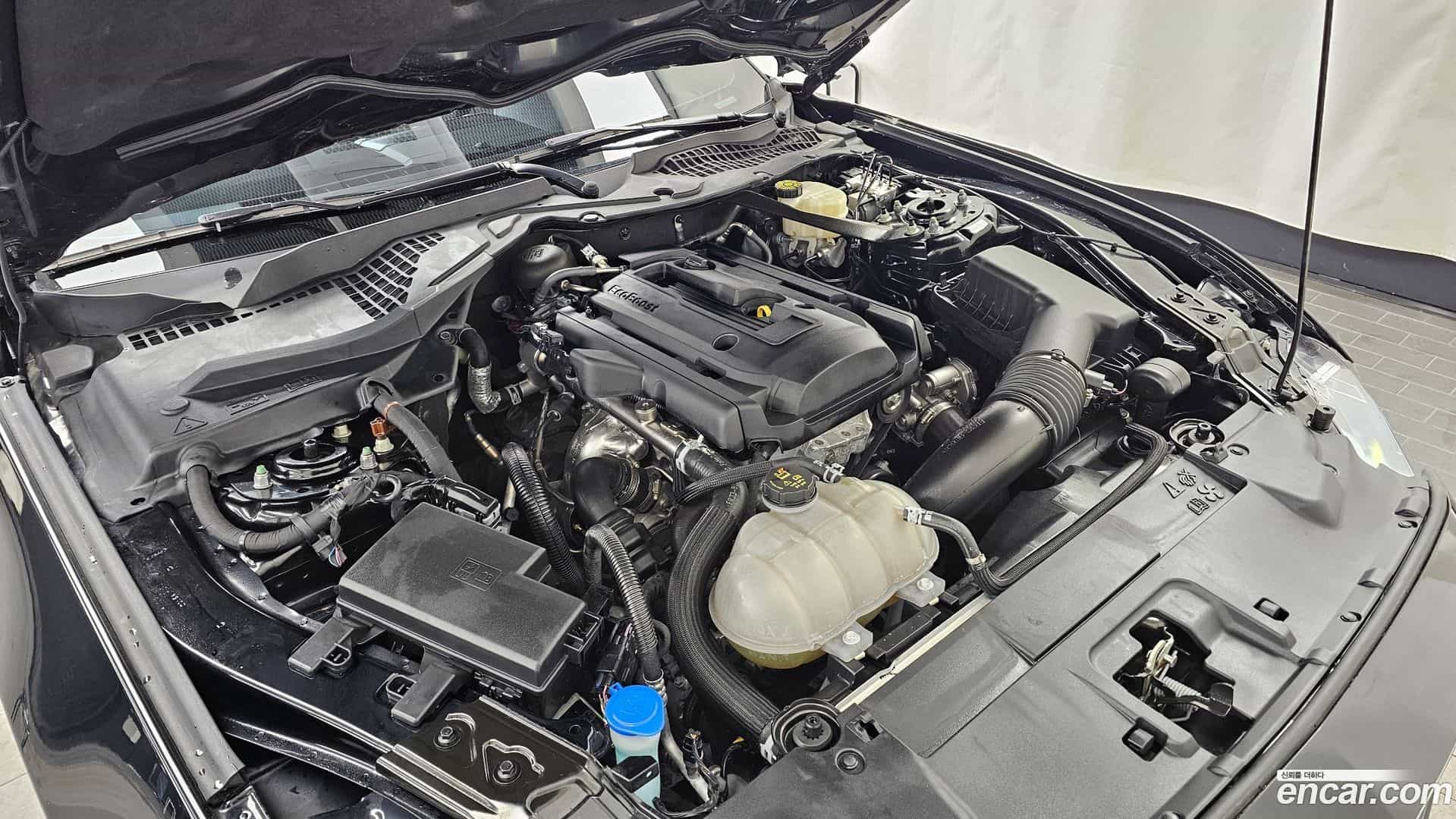 Mustang Ford 2023.8-OUTER-006