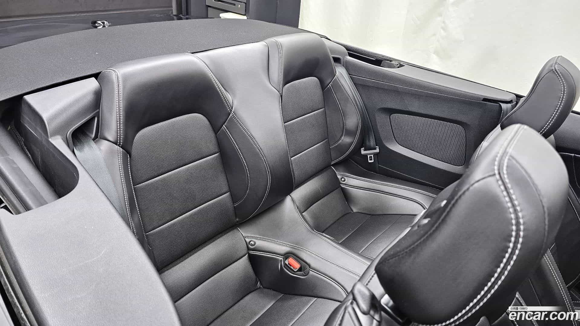 Mustang Ford 2023.8-OPTION-016