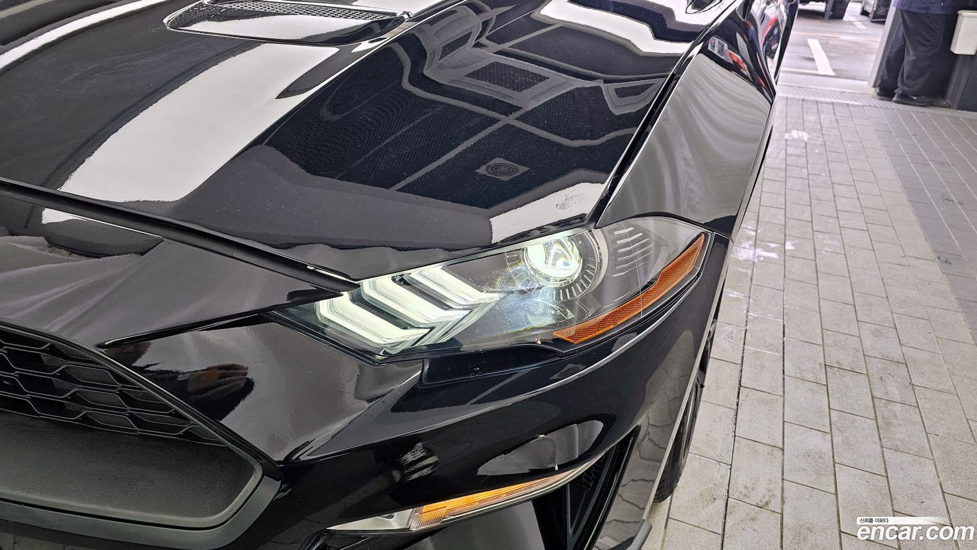 Main__Slider__Photo:Mustang Ford 2023.8-21