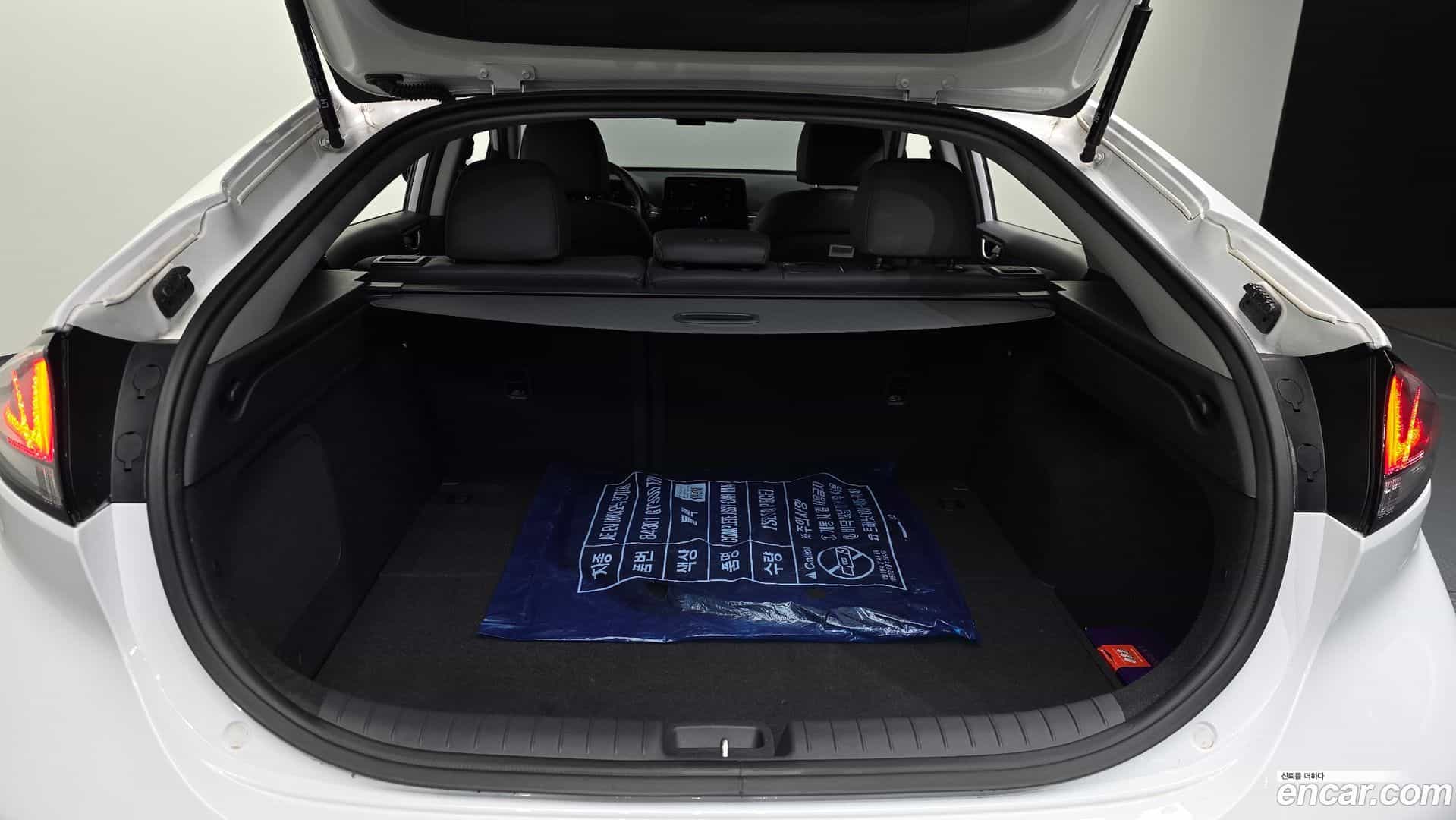 Ioniq Hyundai 2020.8-OPTION-024