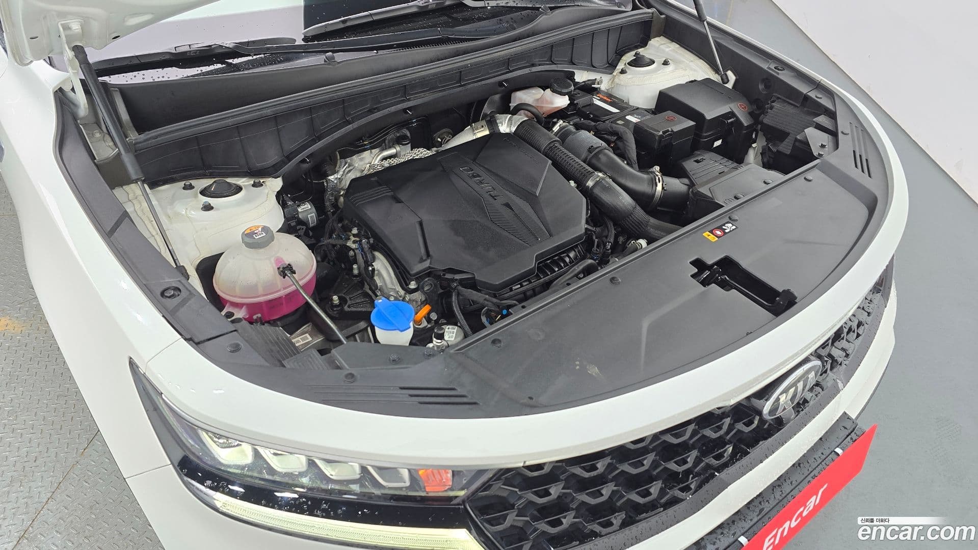 Main__Slider__Photo:Sorento Kia 2021.0-5
