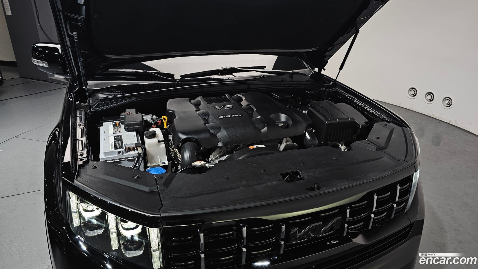 Main__Slider__Photo:Mohave Kia 2024.2-5