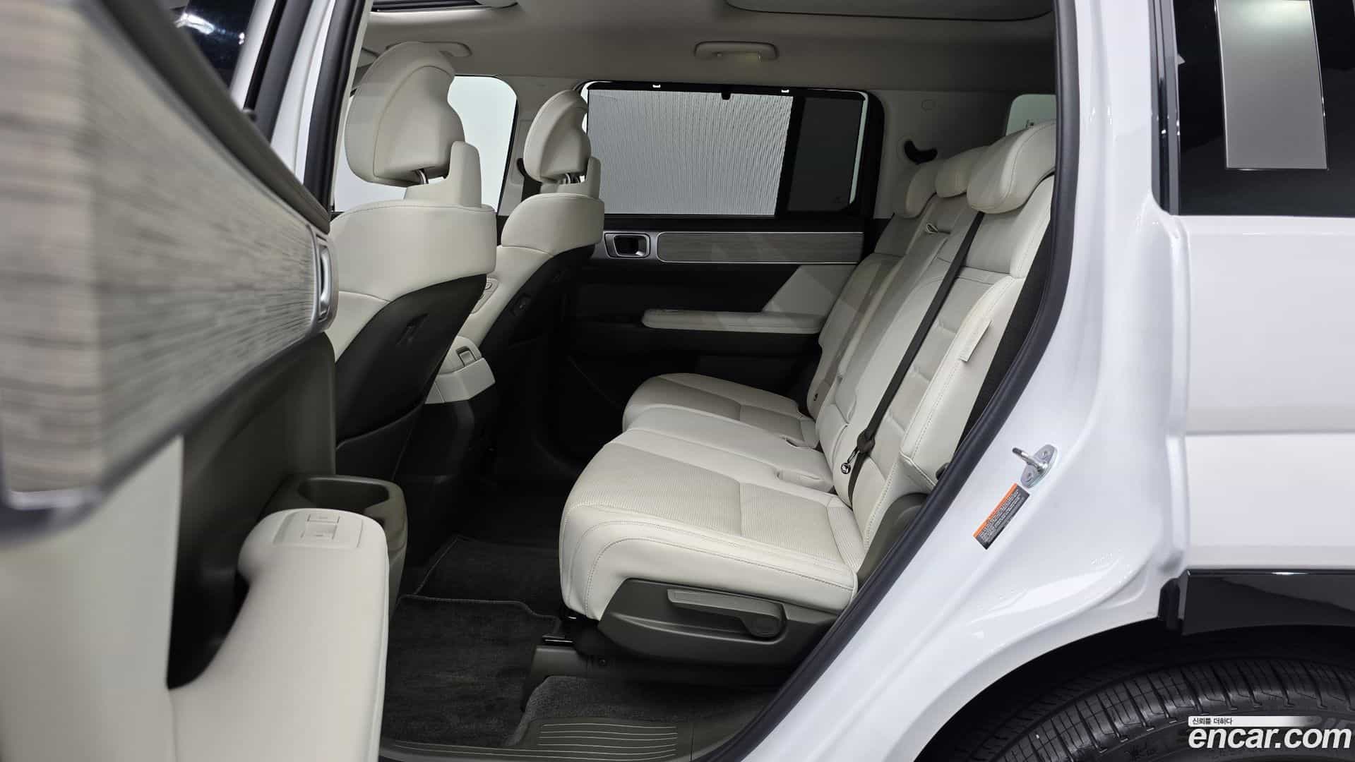 Santafe Hyundai 2024.1-OPTION-016