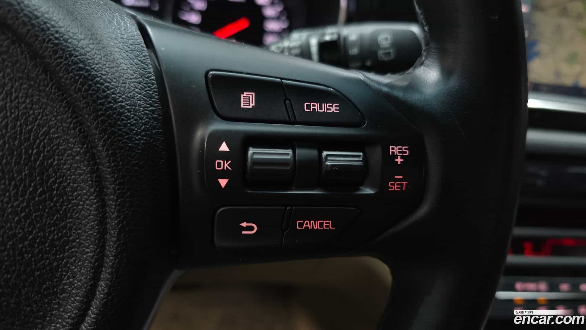 Canival Kia 2017.7-OPTION-042