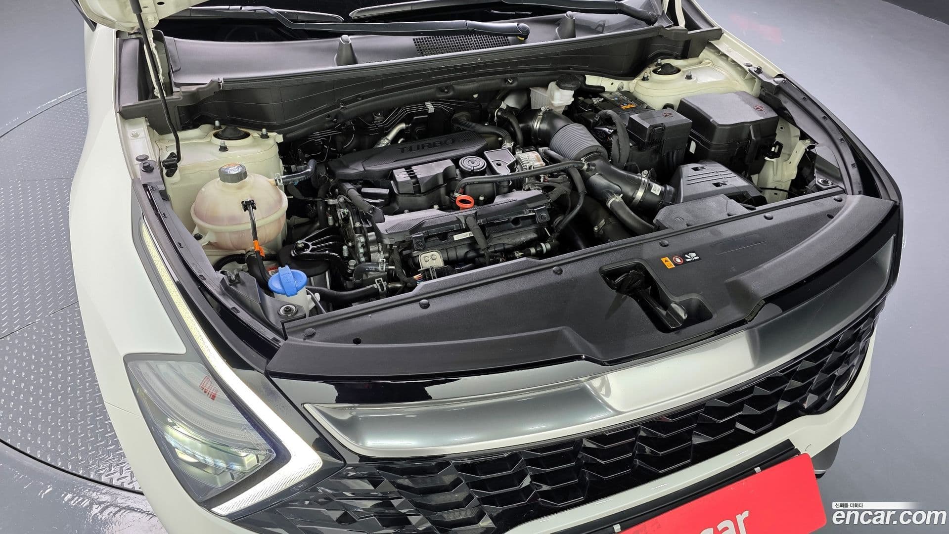 Main__Slider__Photo:Sportage Kia 2022.5-5