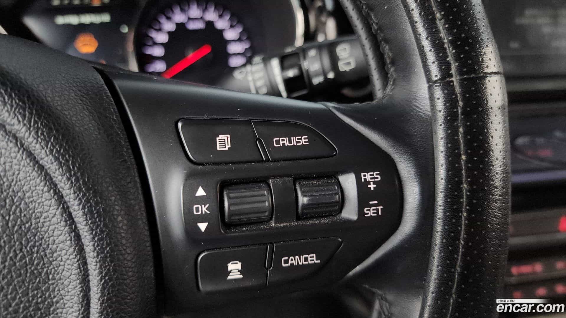 Canival Kia 2016.5-OPTION-020