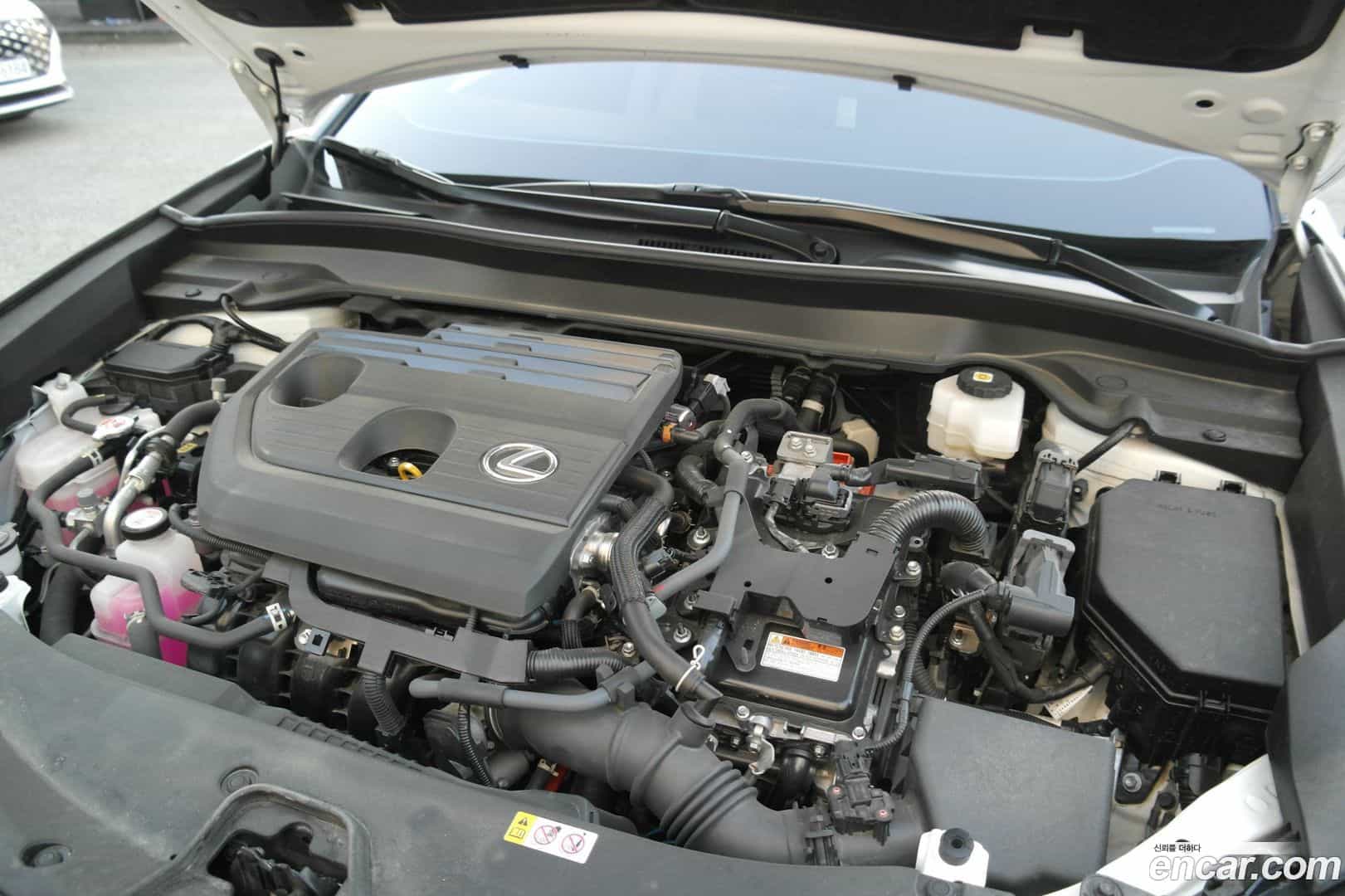 UX Lexus 2024.8-OPTION-024