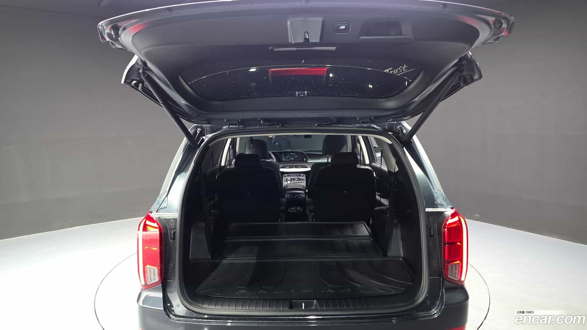 Palisade Hyundai 2019.3-OPTION-022