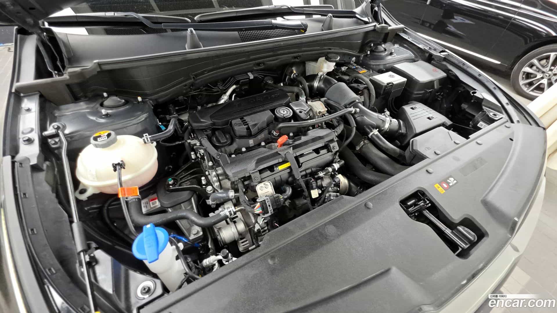 Sportage Kia 2024.5-OUTER-006
