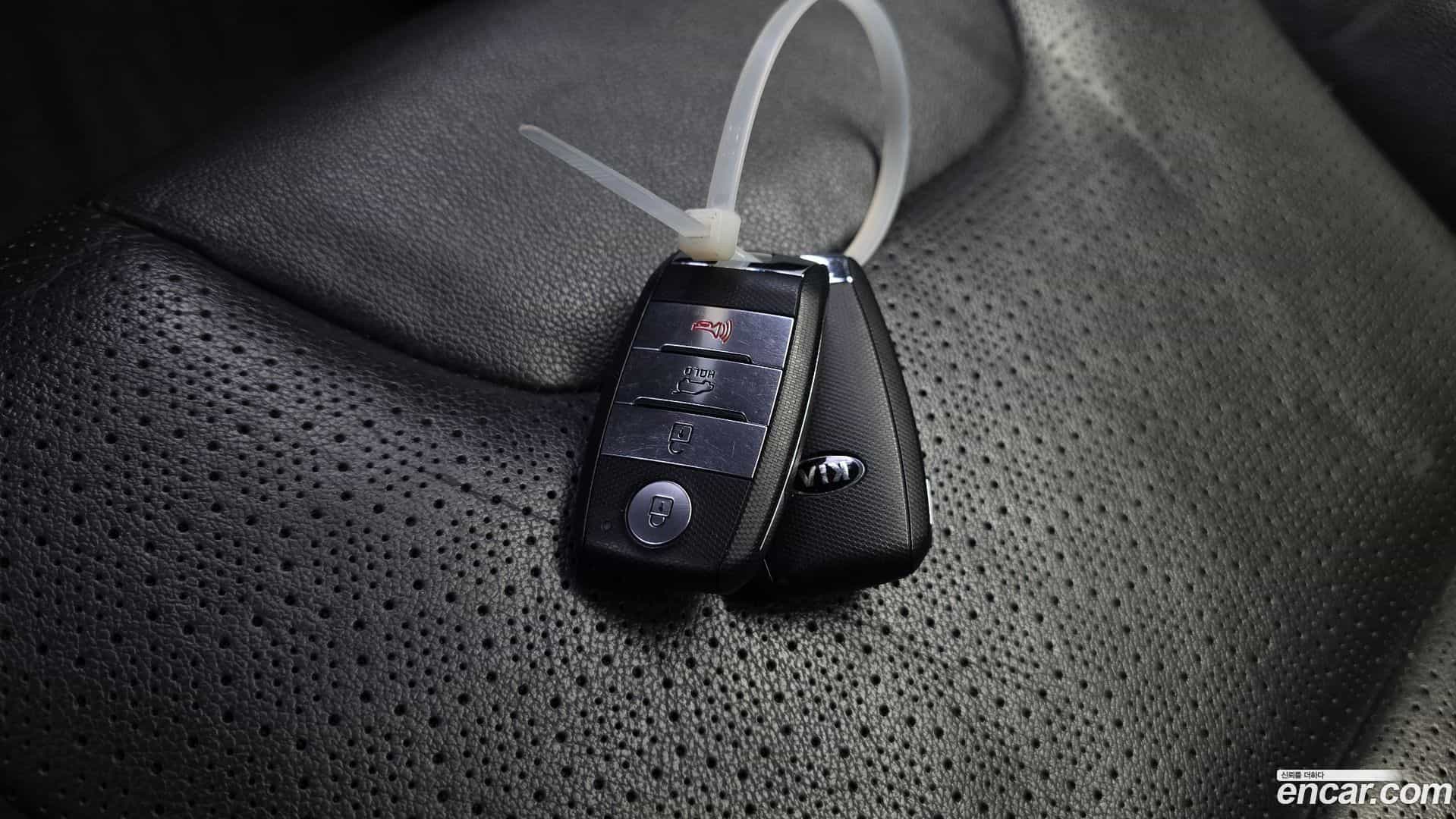 Niro Kia 2016.10-OPTION-021