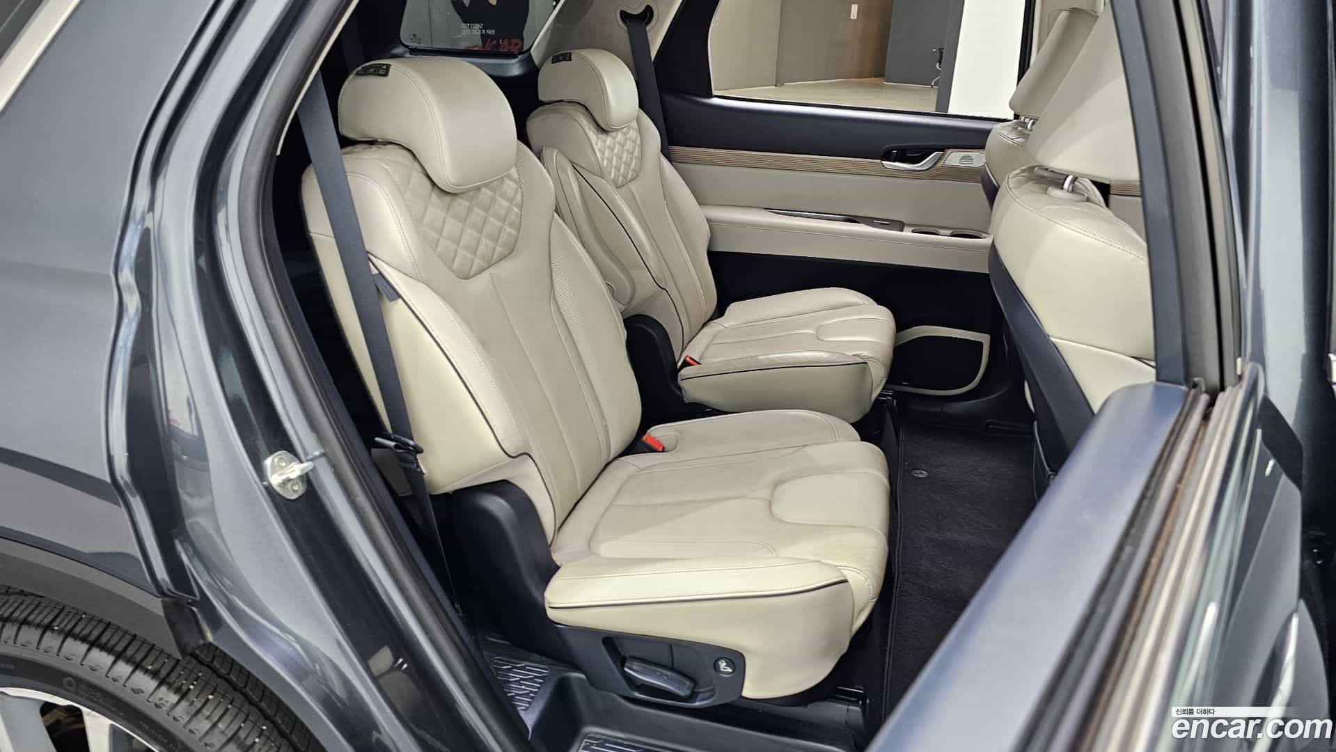 Palisade Hyundai 2019.3-OPTION-015