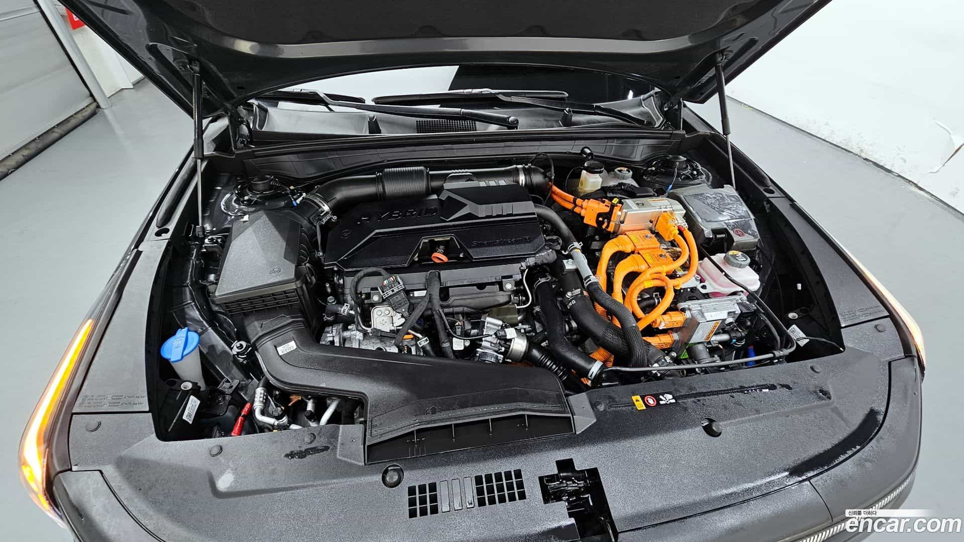 K8 Kia 2025.1-OUTER-006