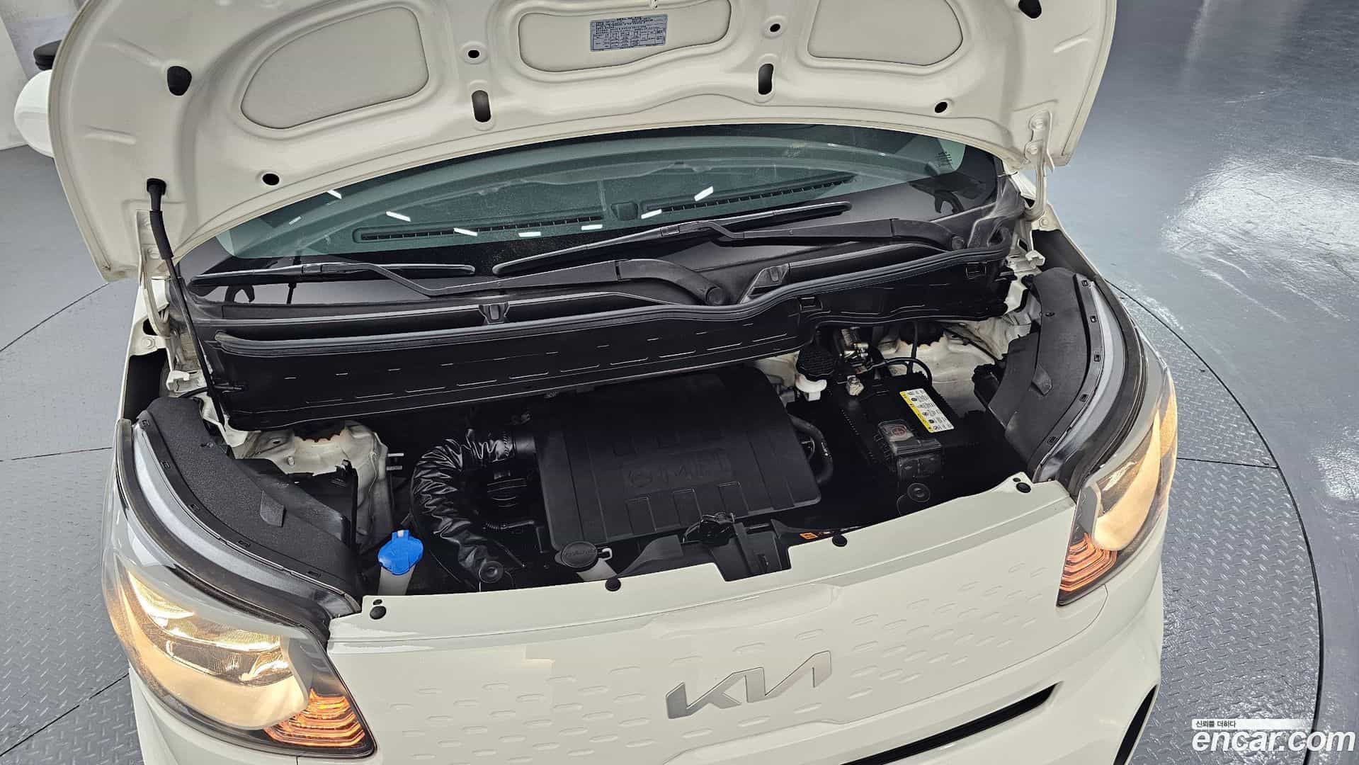 RAY Kia 2022.0-OUTER-006
