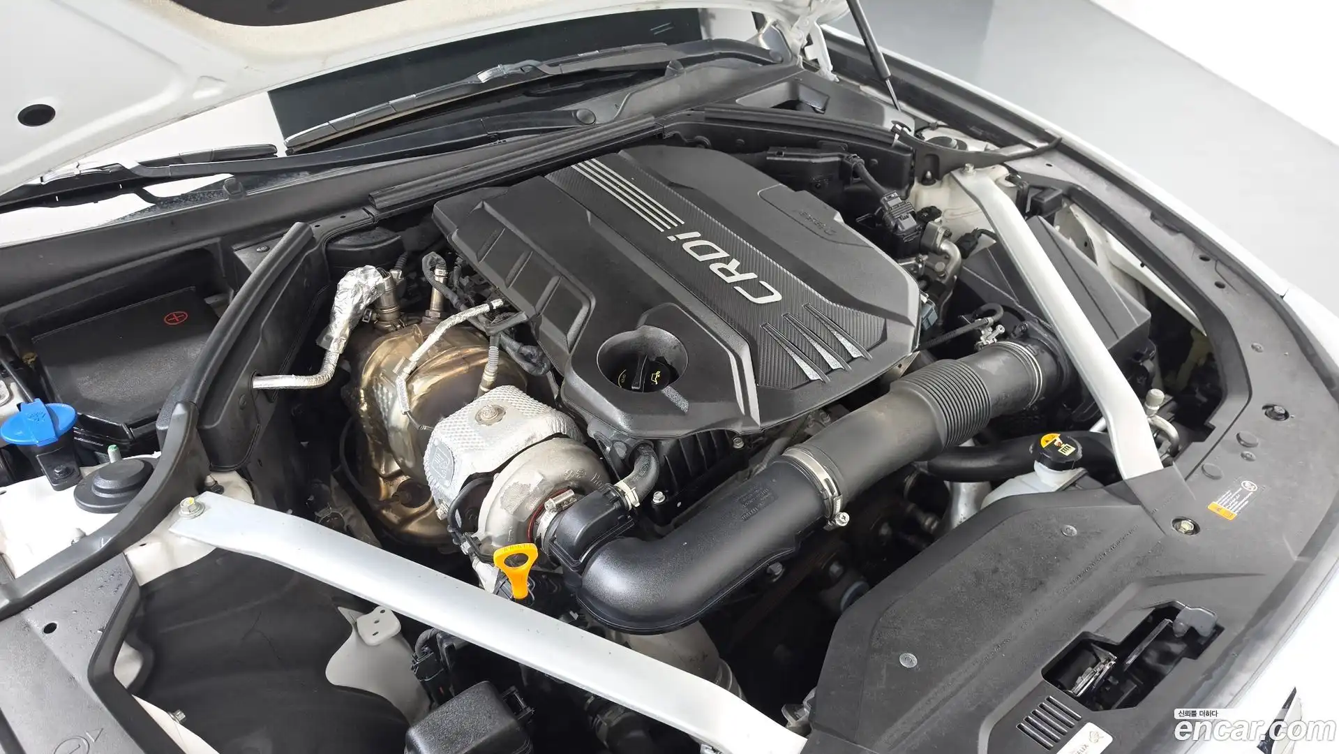 G70 Genesis 2018.10-OUTER-006
