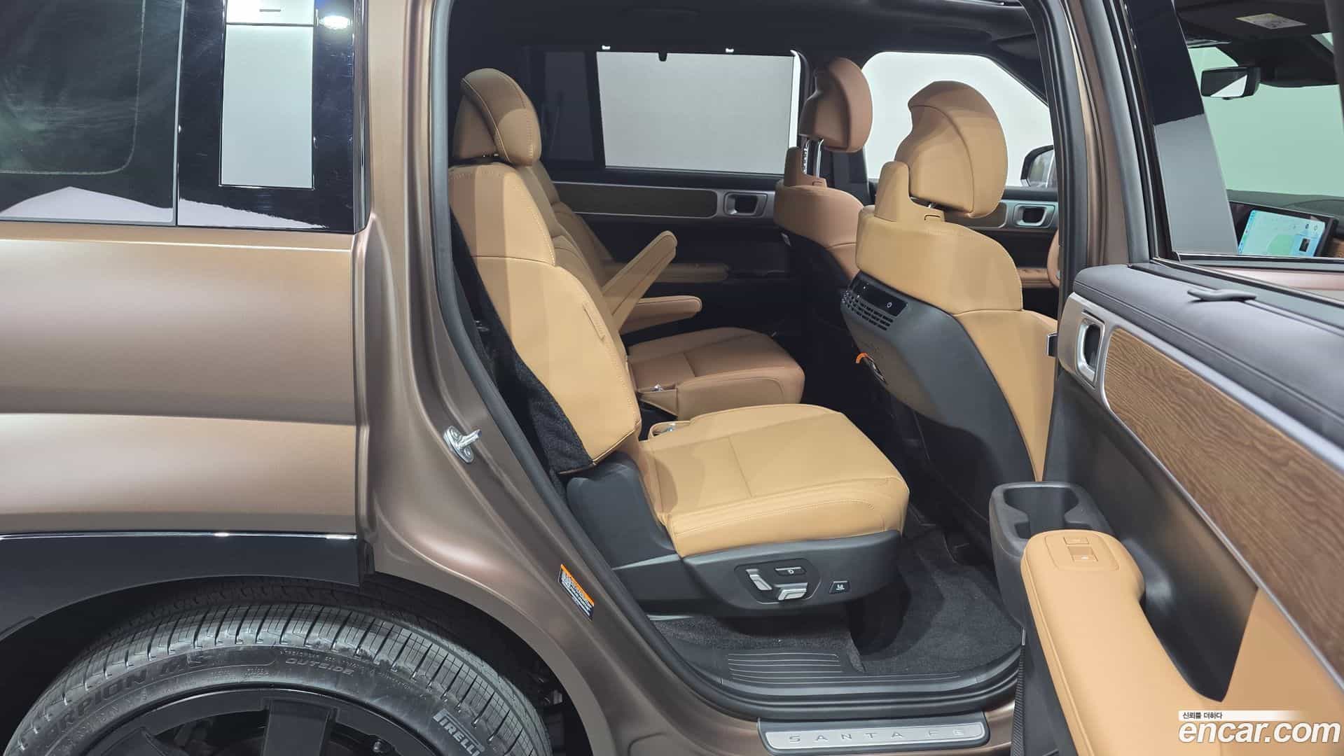 Santafe Hyundai 2025.11-OPTION-016