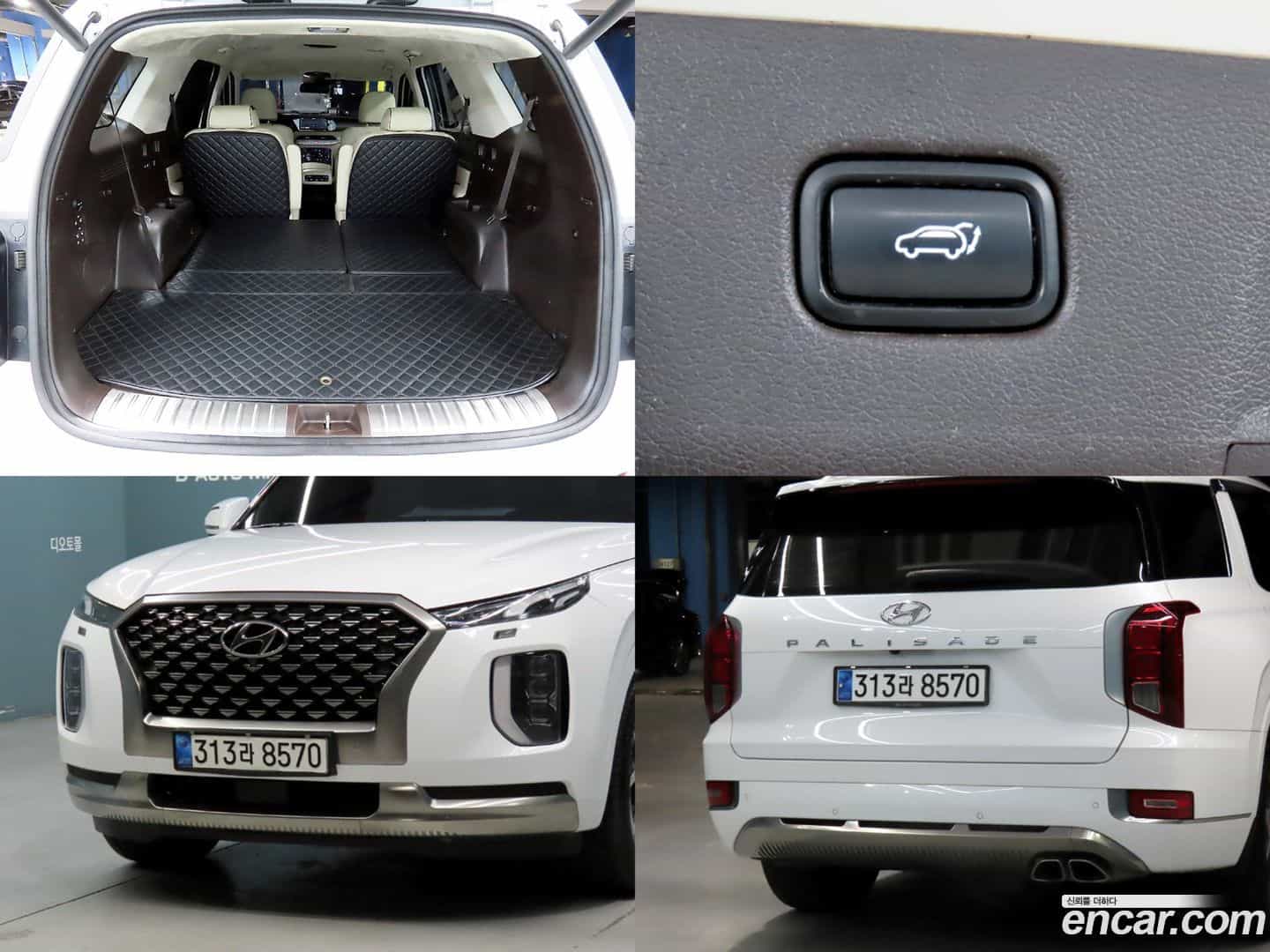 Palisade Hyundai 2021.8-OPTION-020