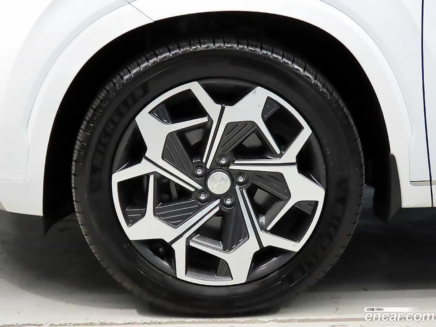 Palisade Hyundai 2021.8-OPTION-024