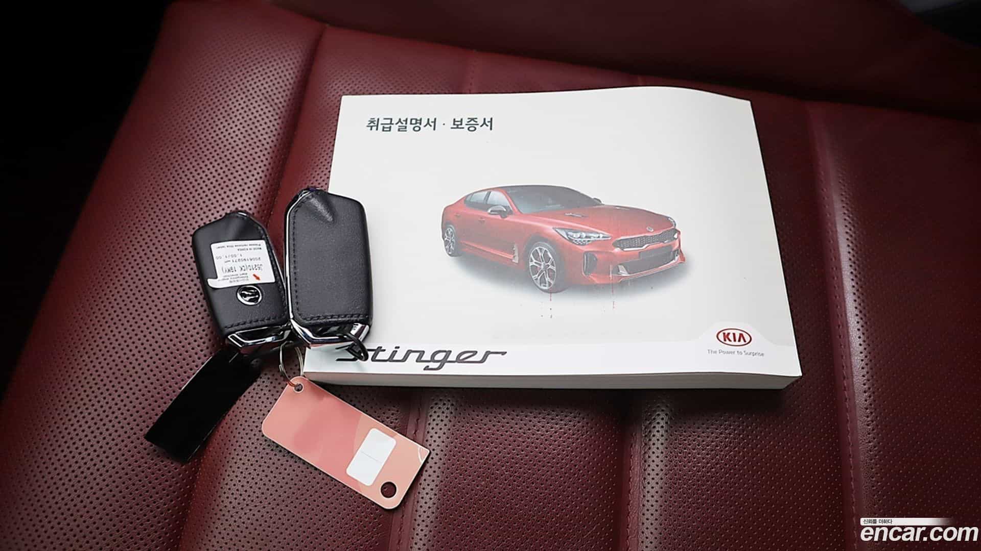 Stinger Kia 2020.6-OPTION-022