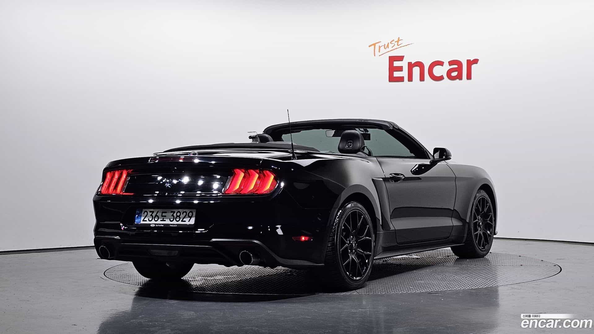 Mustang Ford 2020.8-OUTER-002