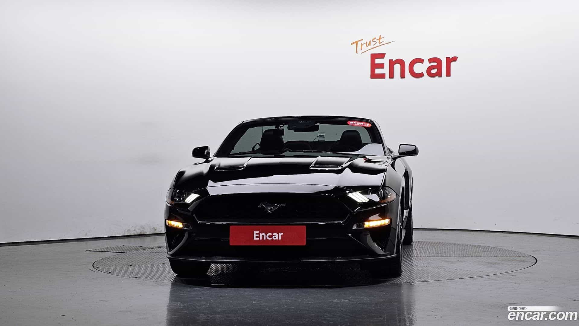 Mustang Ford 2020.8-OUTER-003