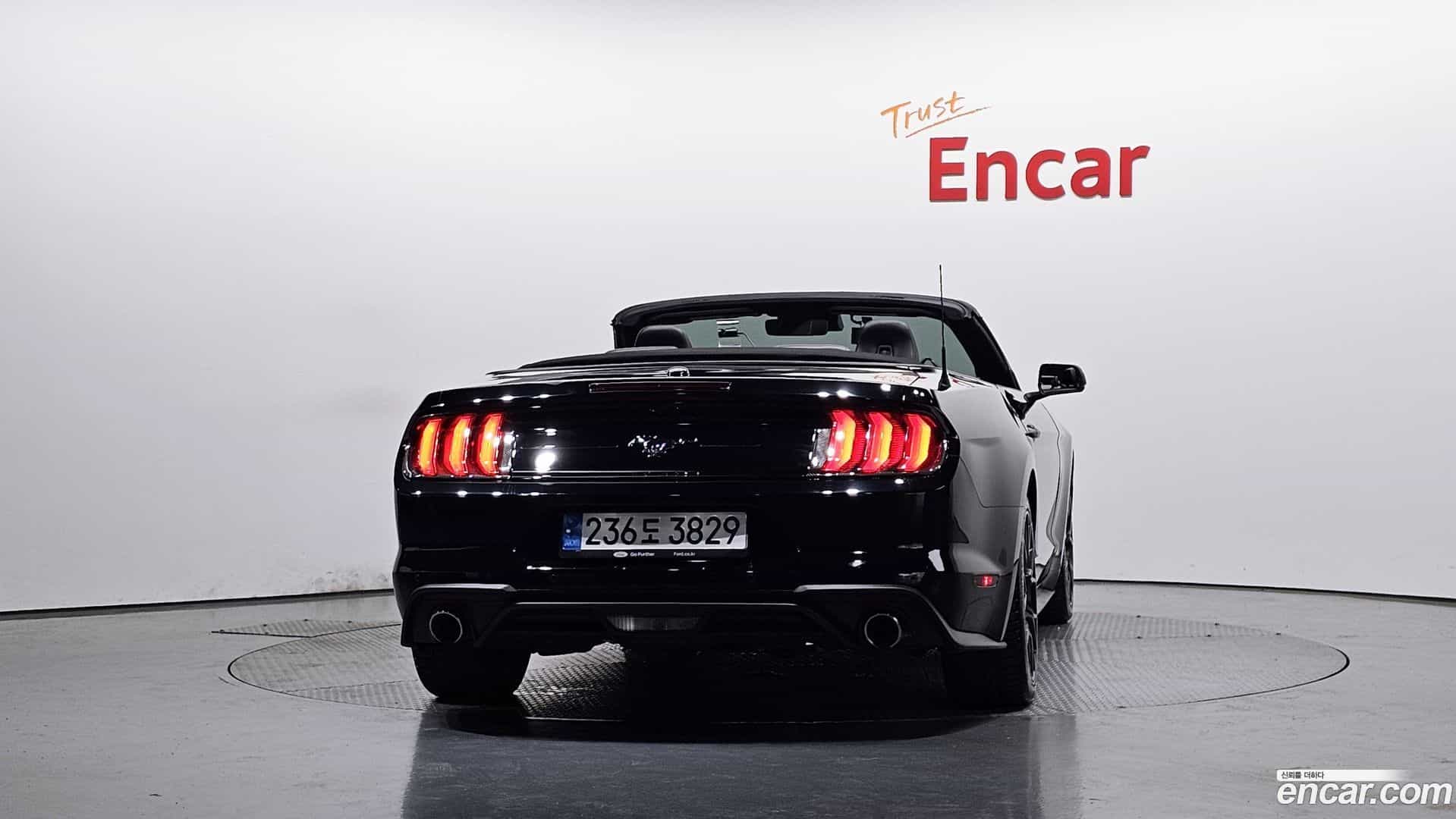 Mustang Ford 2020.8-OUTER-004