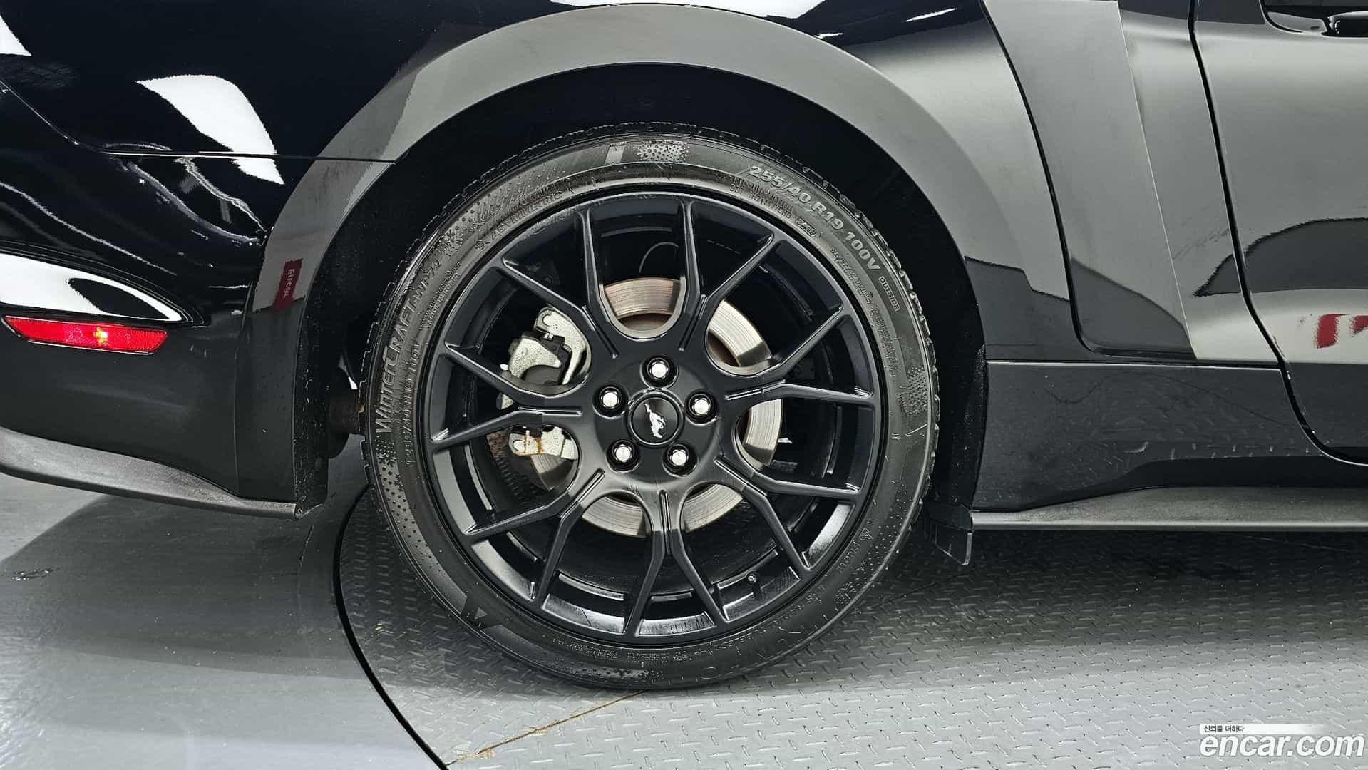 Mustang Ford 2020.8-OUTER-005