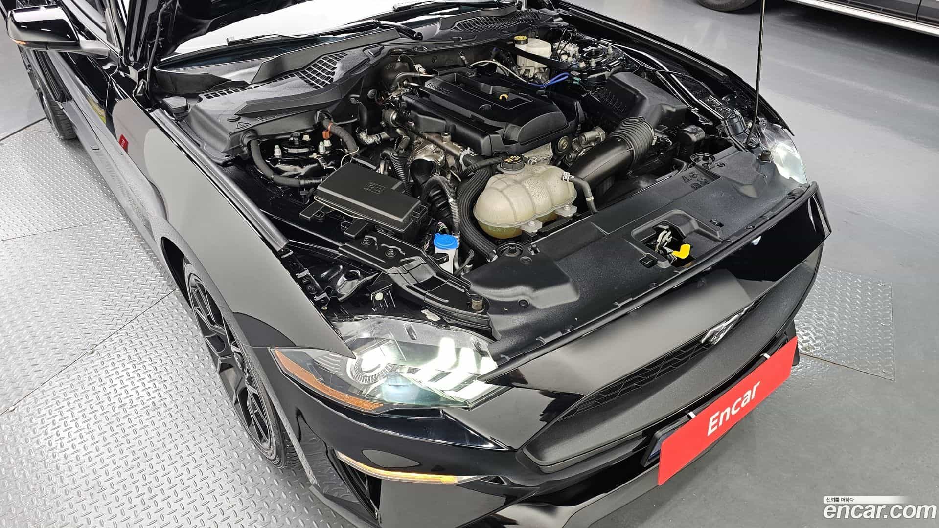 Mustang Ford 2020.8-OUTER-006