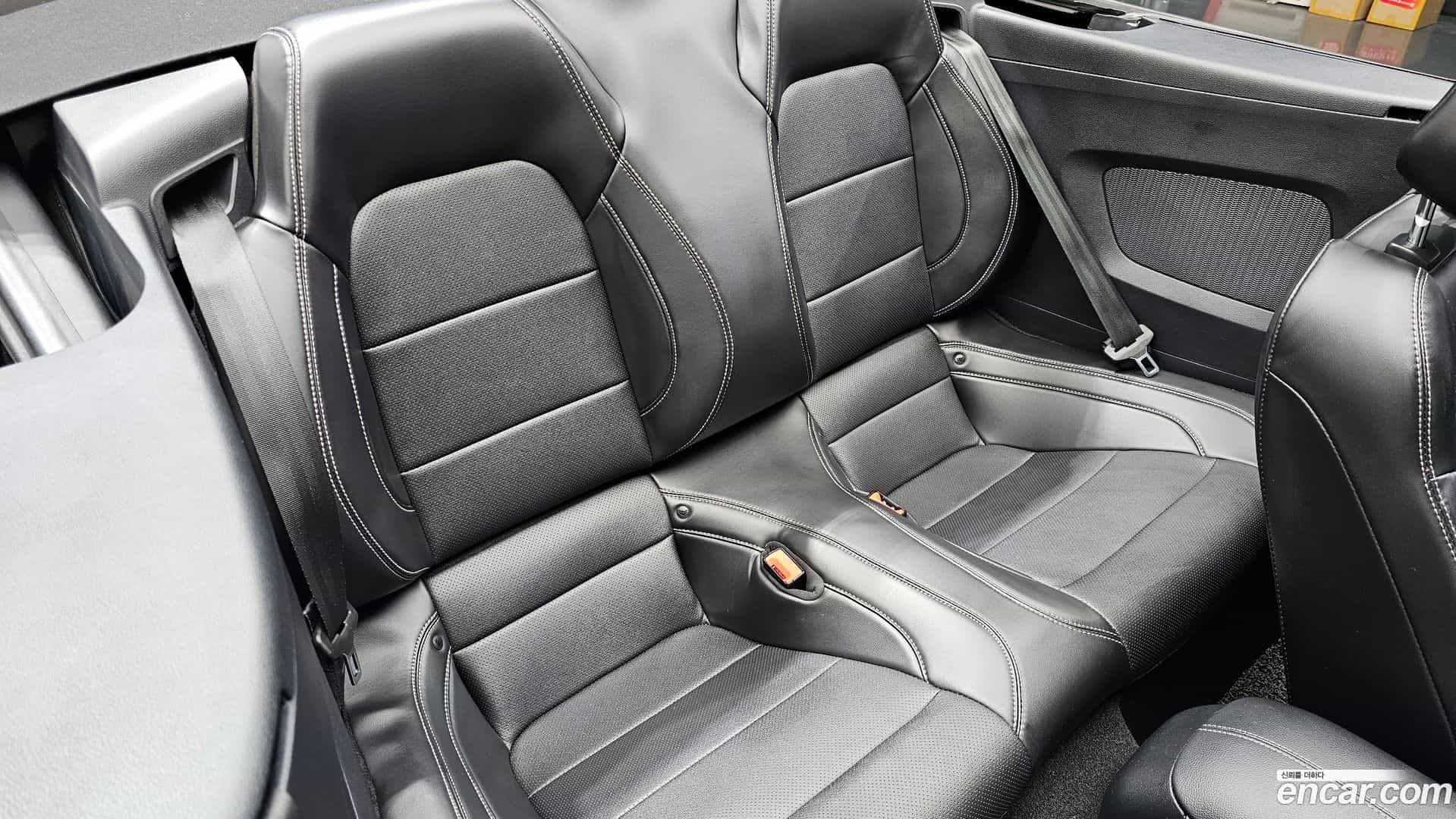 Mustang Ford 2020.8-OPTION-015