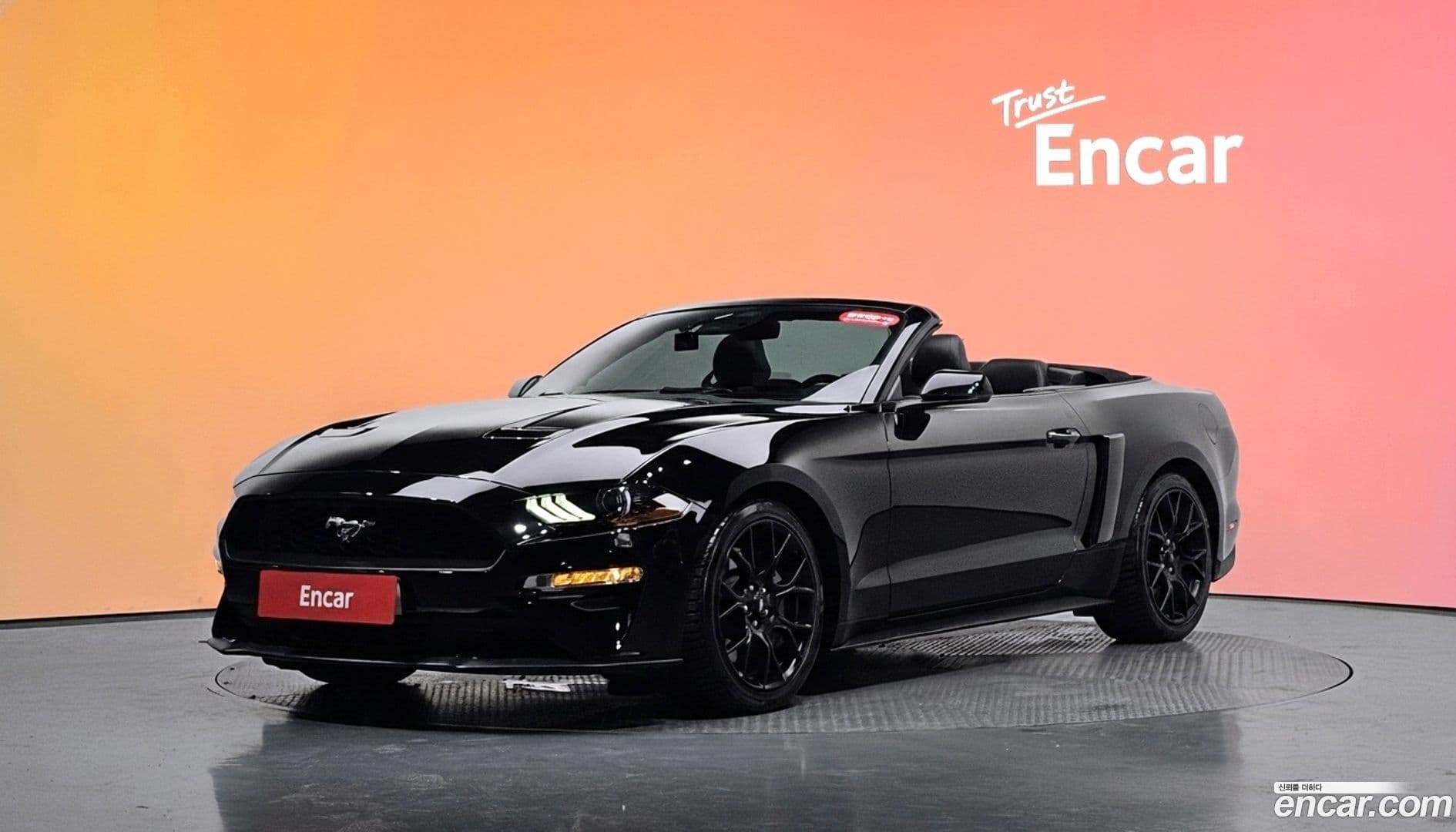Main__Slider__Photo:Mustang Ford 2020.8-0