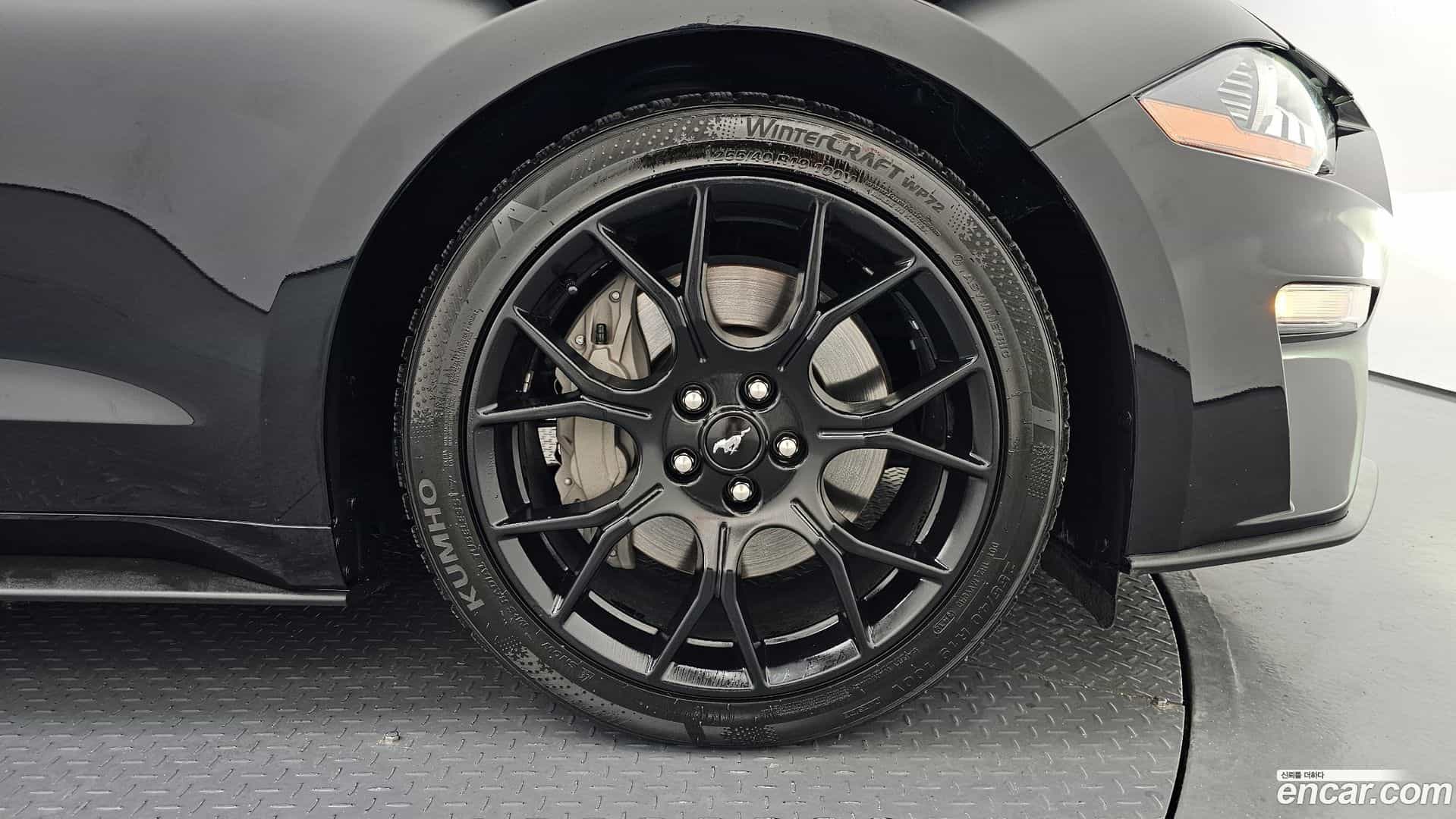 Mustang Ford 2020.8-OUTER-031