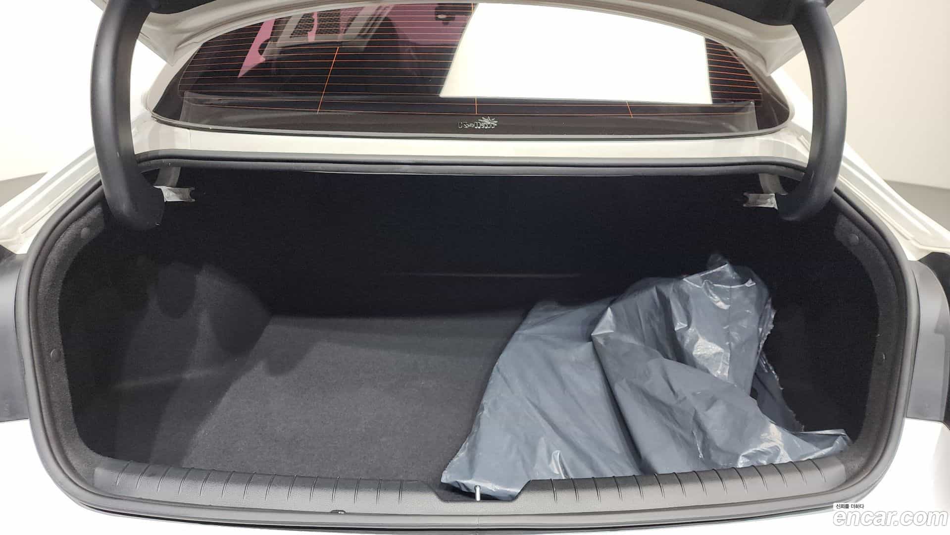 Sonata Hyundai 2019.4-OPTION-022
