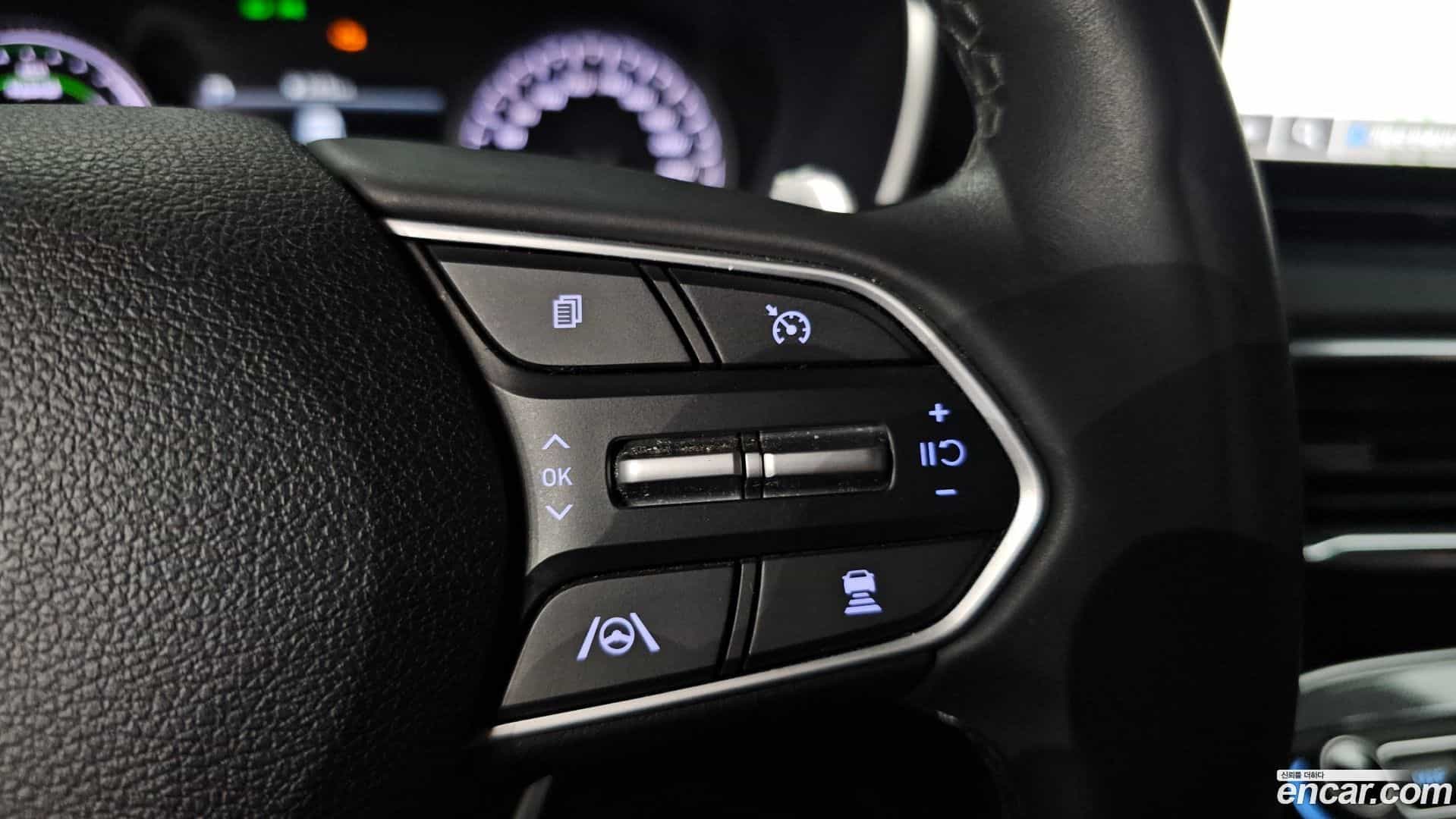 Santafe Hyundai 2022.3-OPTION-043
