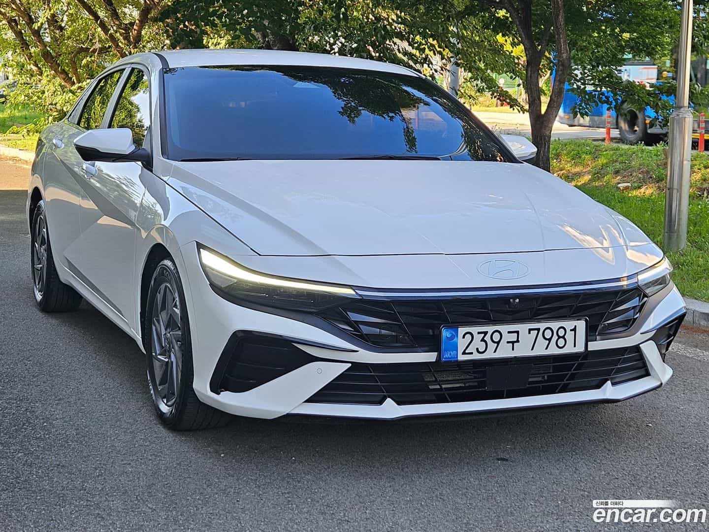 AVANTE Hyundai 2024.5-OUTER-002