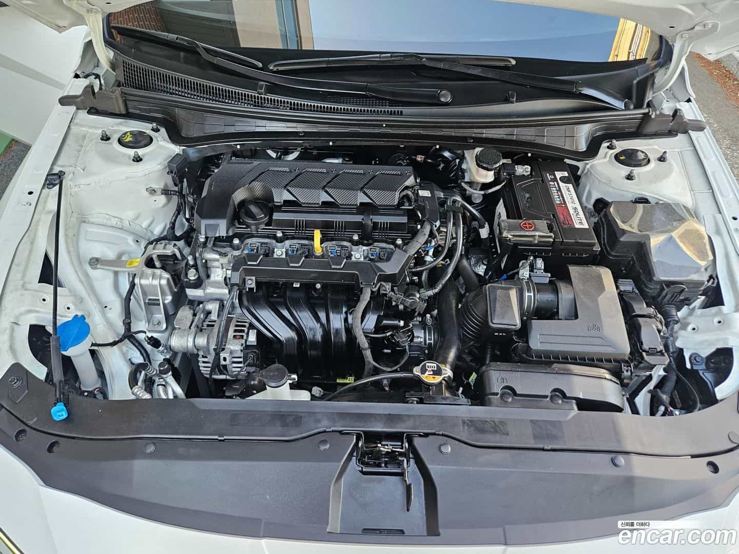 AVANTE Hyundai 2024.5-OPTION-016