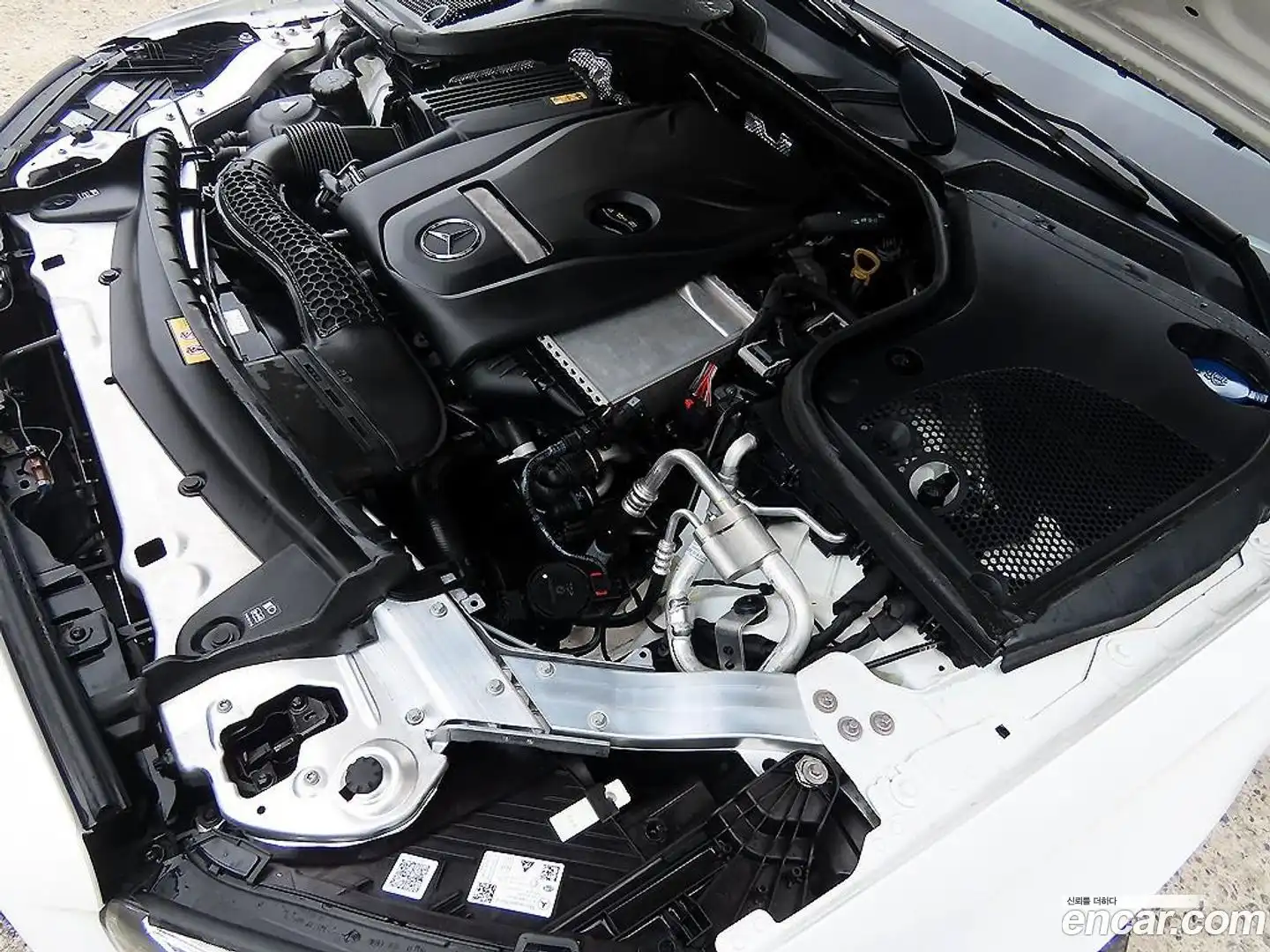E-Class Mercedes-Benz 2023.5-OPTION-023