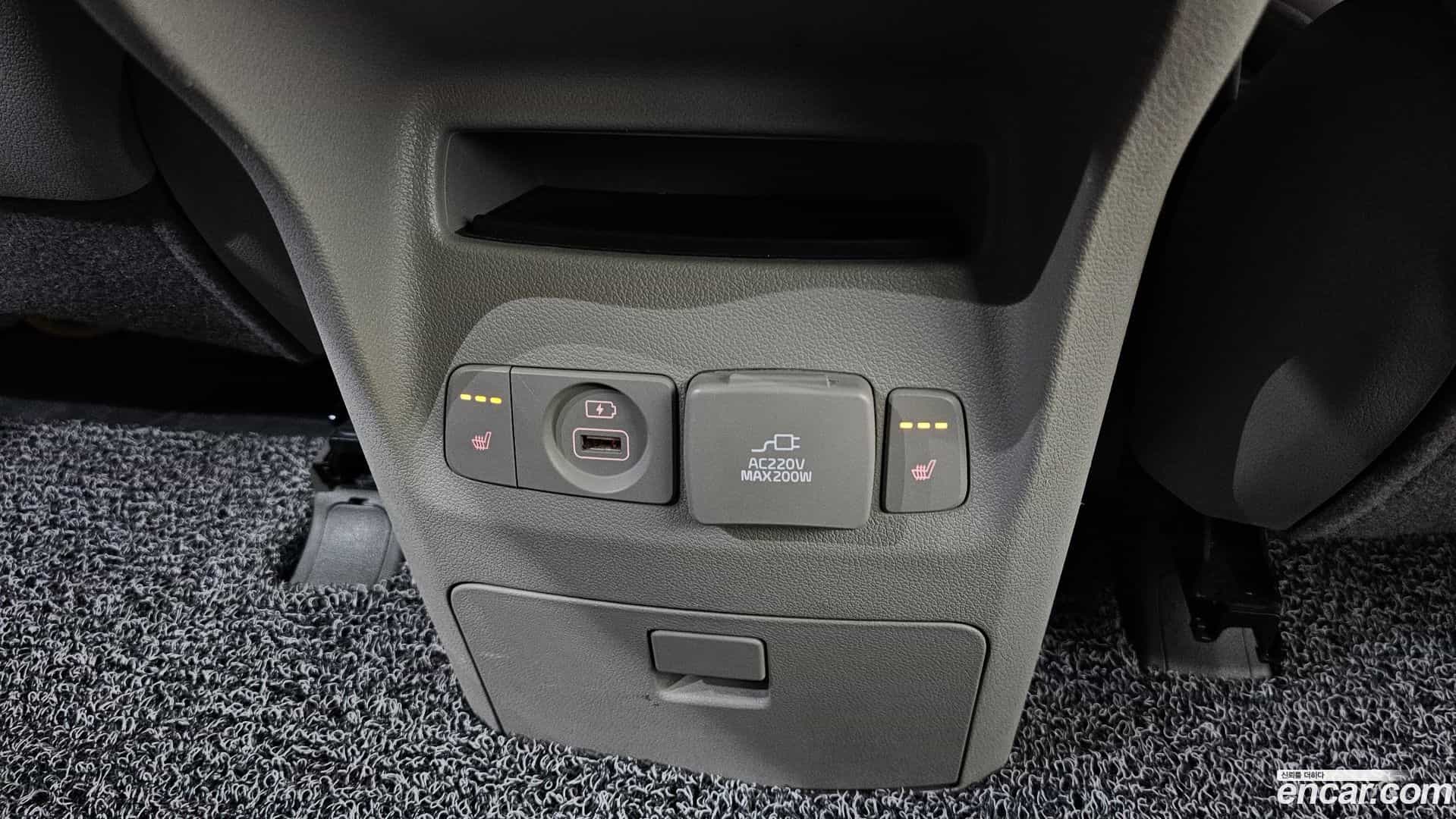Canival Kia 2019.5-OPTION-041