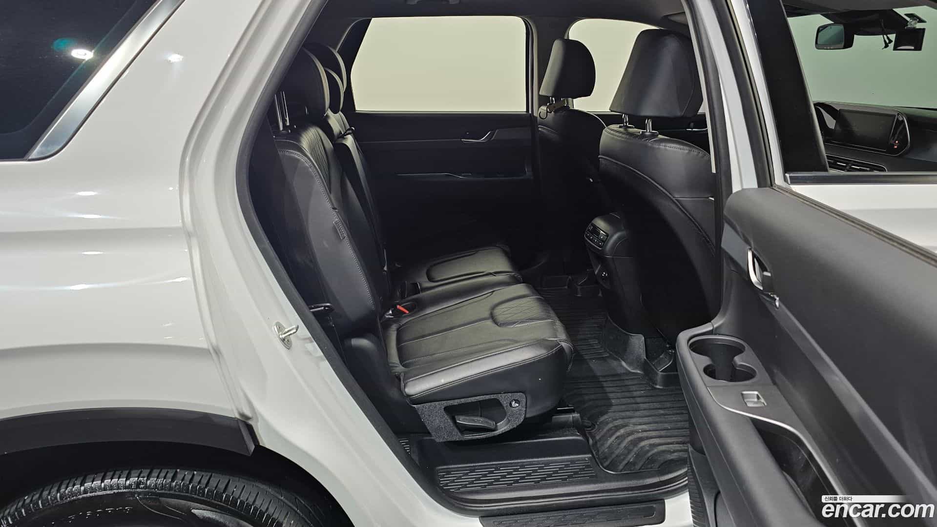 Palisade Hyundai 2019.3-OPTION-015