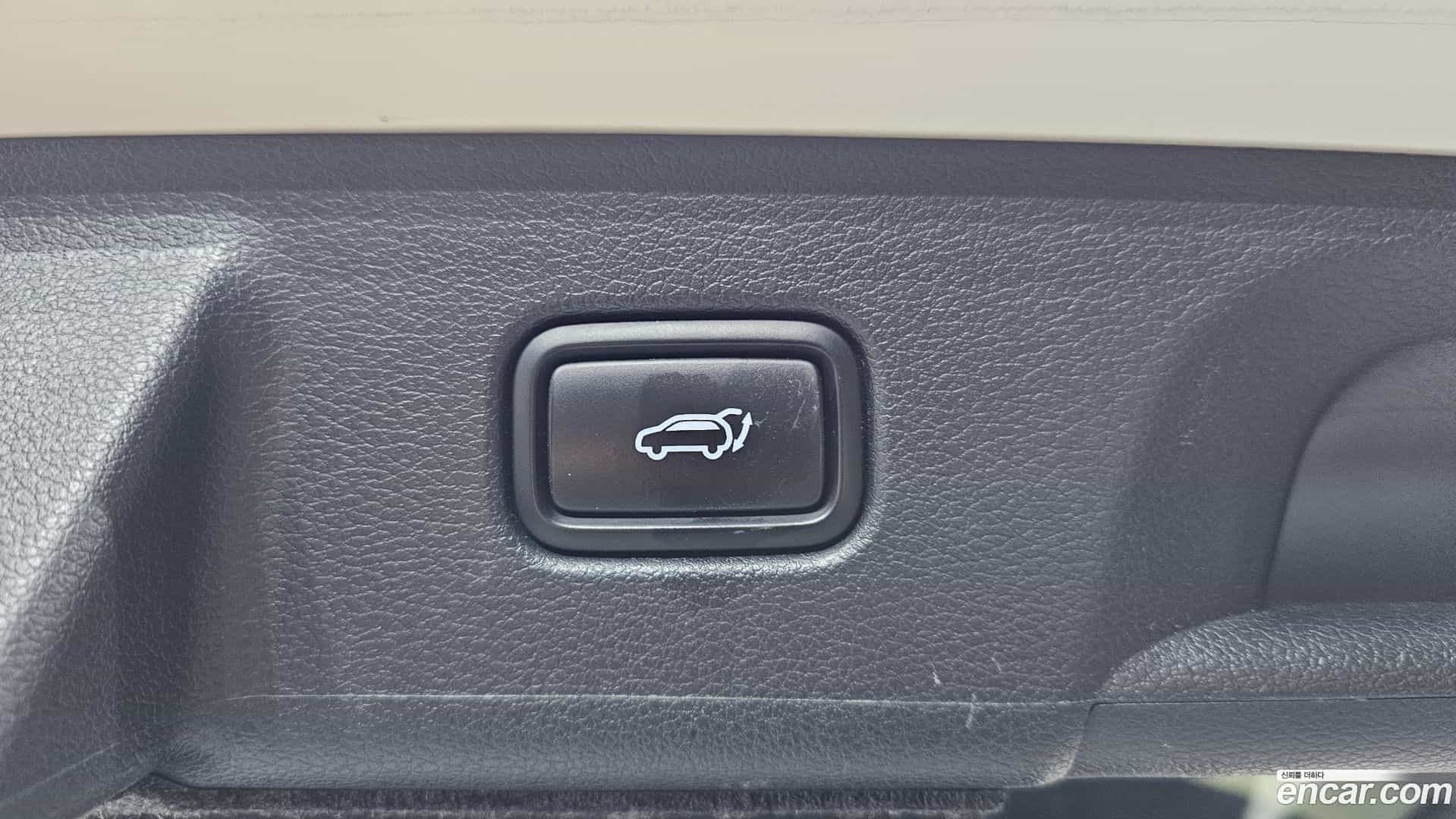 Palisade Hyundai 2019.3-OPTION-020