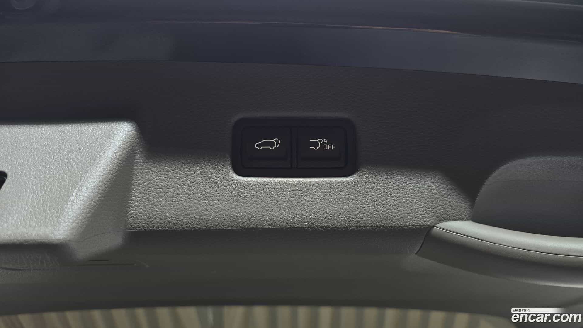 Canival Kia 2021.10-OPTION-021