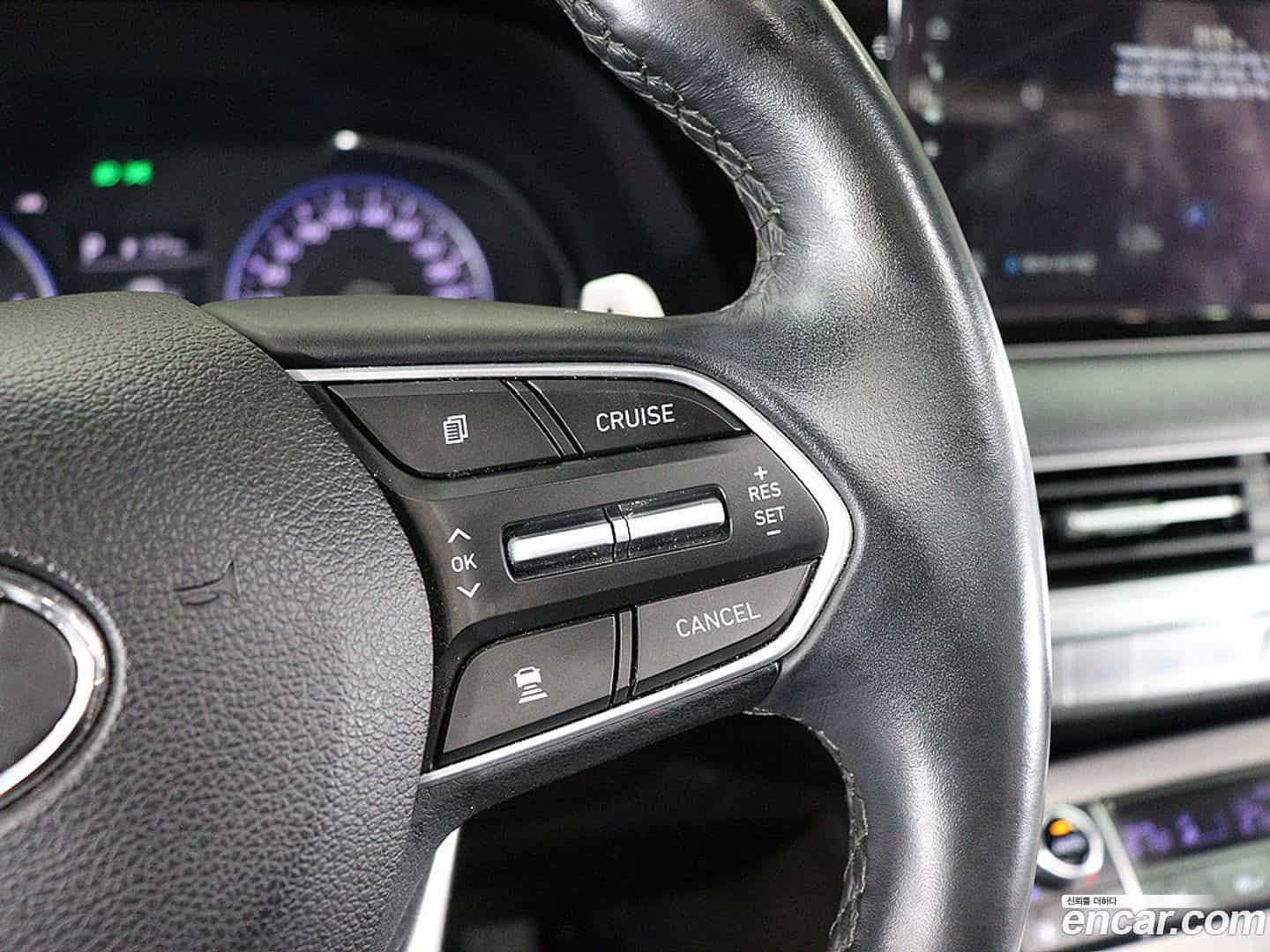 Palisade Hyundai 2020.1-OPTION-021