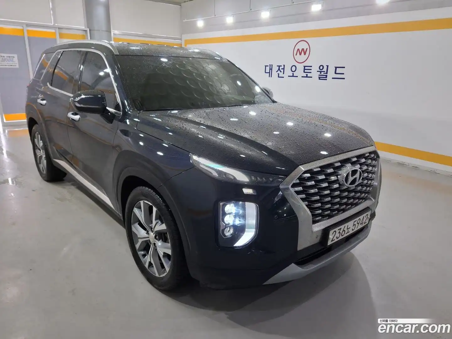 Palisade Hyundai 2018.11-OUTER-001