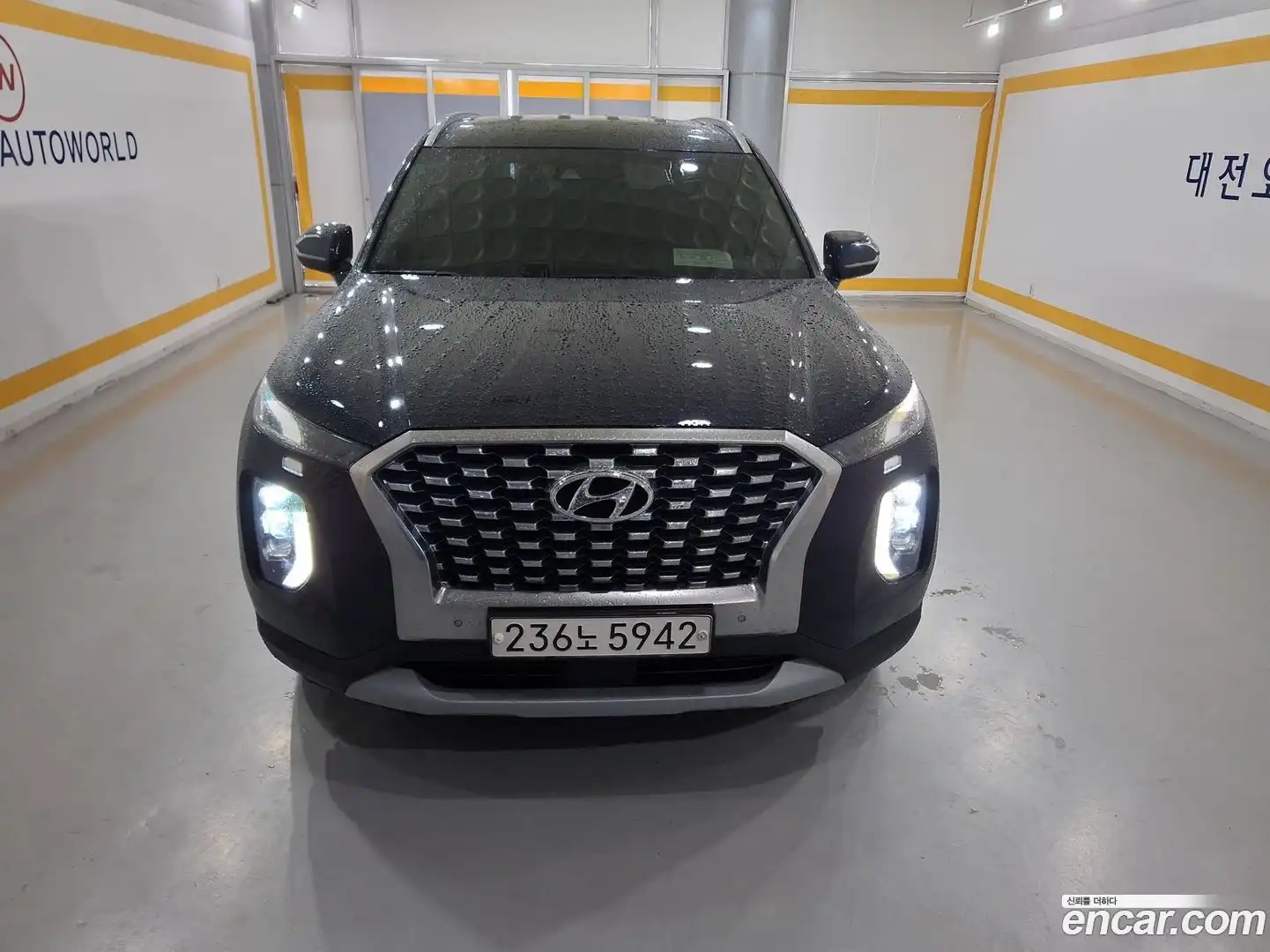 Palisade Hyundai 2018.11-OUTER-002