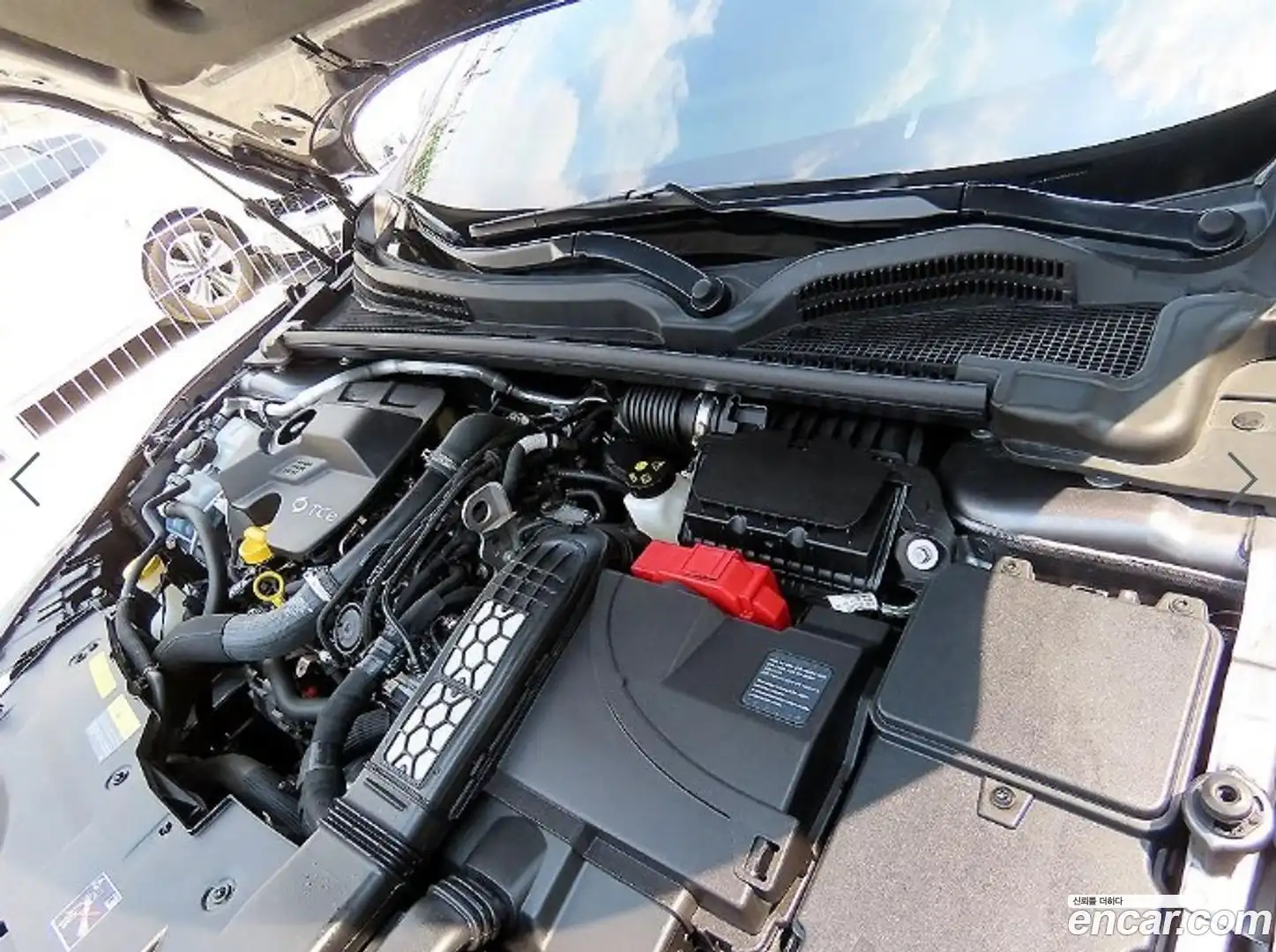 SM6 Renault Korea 2024.11-OPTION-023