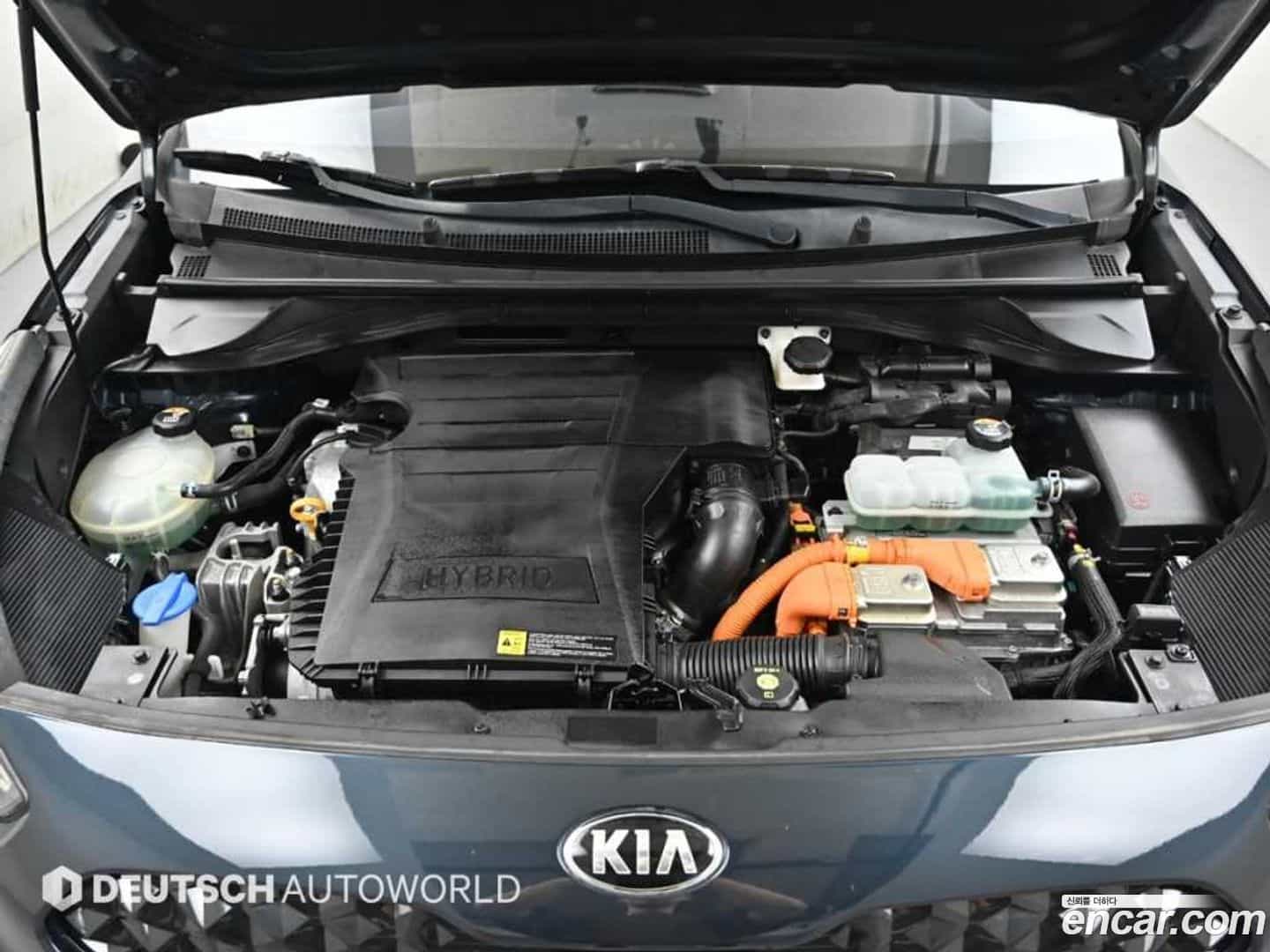 Niro Kia 2019.8-OUTER-006
