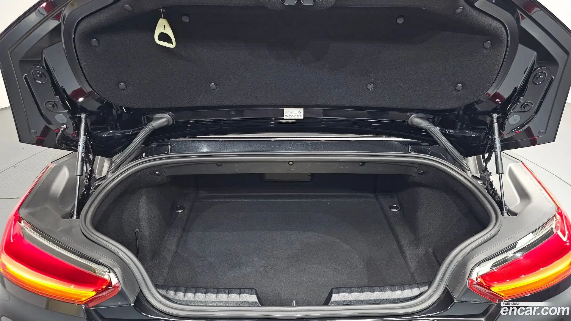 Z4 BMW 2022.11-OPTION-024