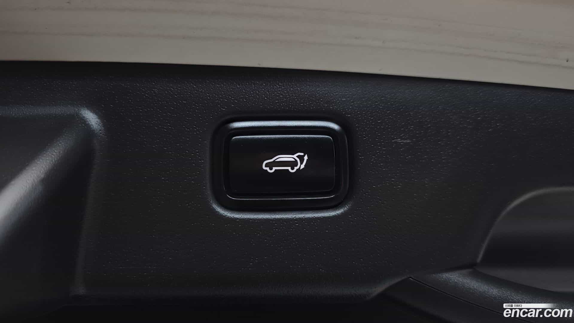 Niro Kia 2022.4-OPTION-020